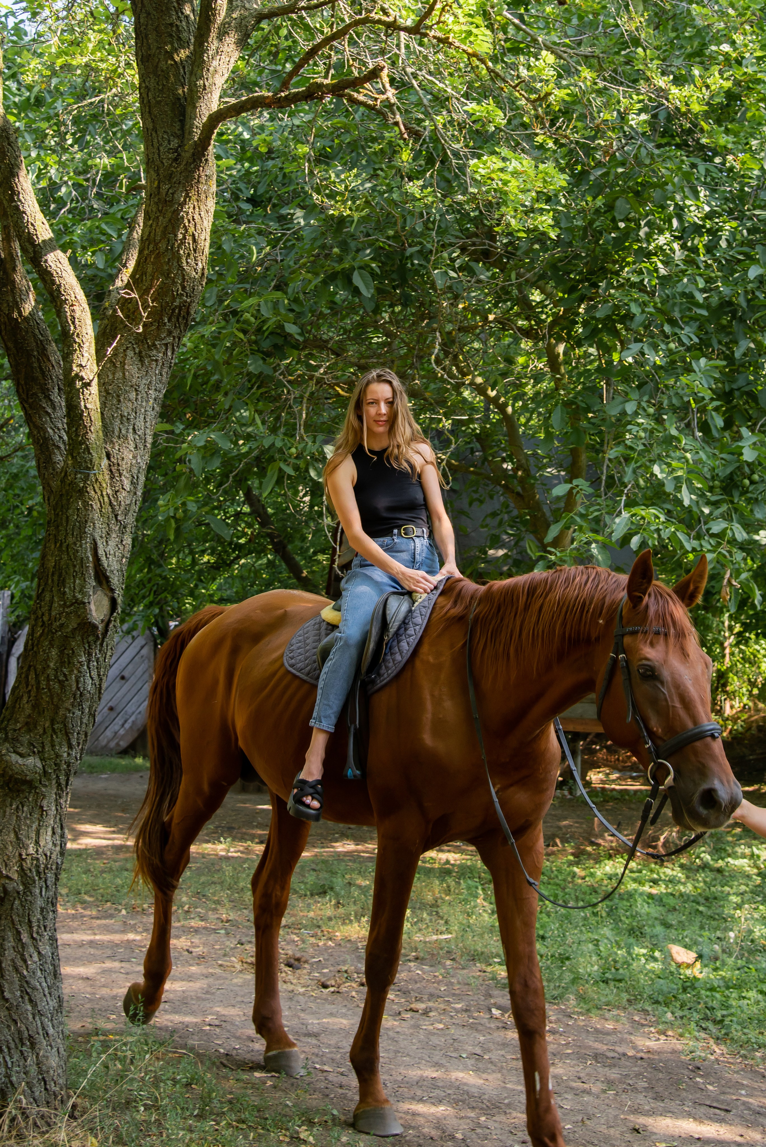 Конная прогулка. Фотограф Галина Нестерова