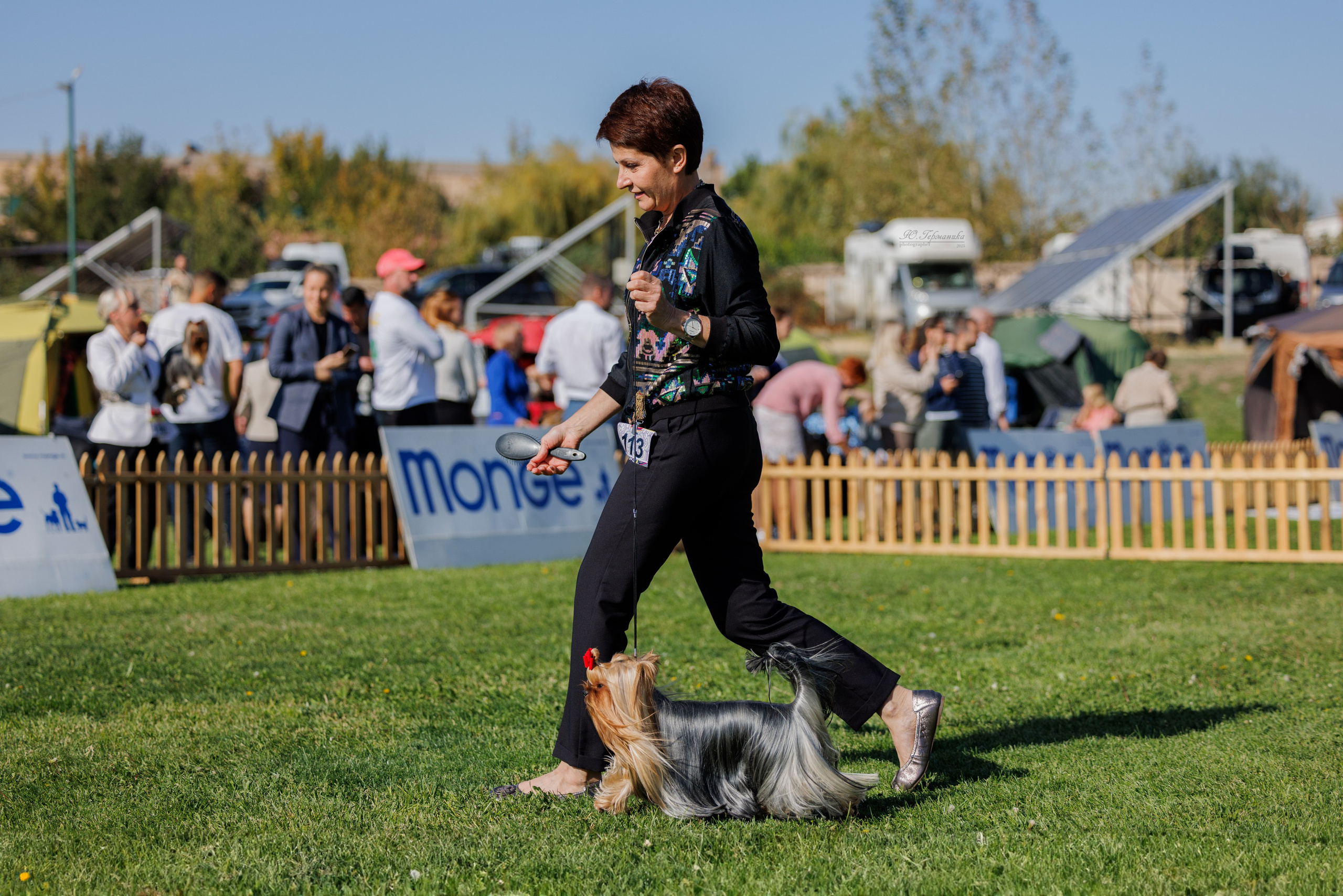 Ереван 14-16.10.2025. Фотограф-анималист Юлия Германика