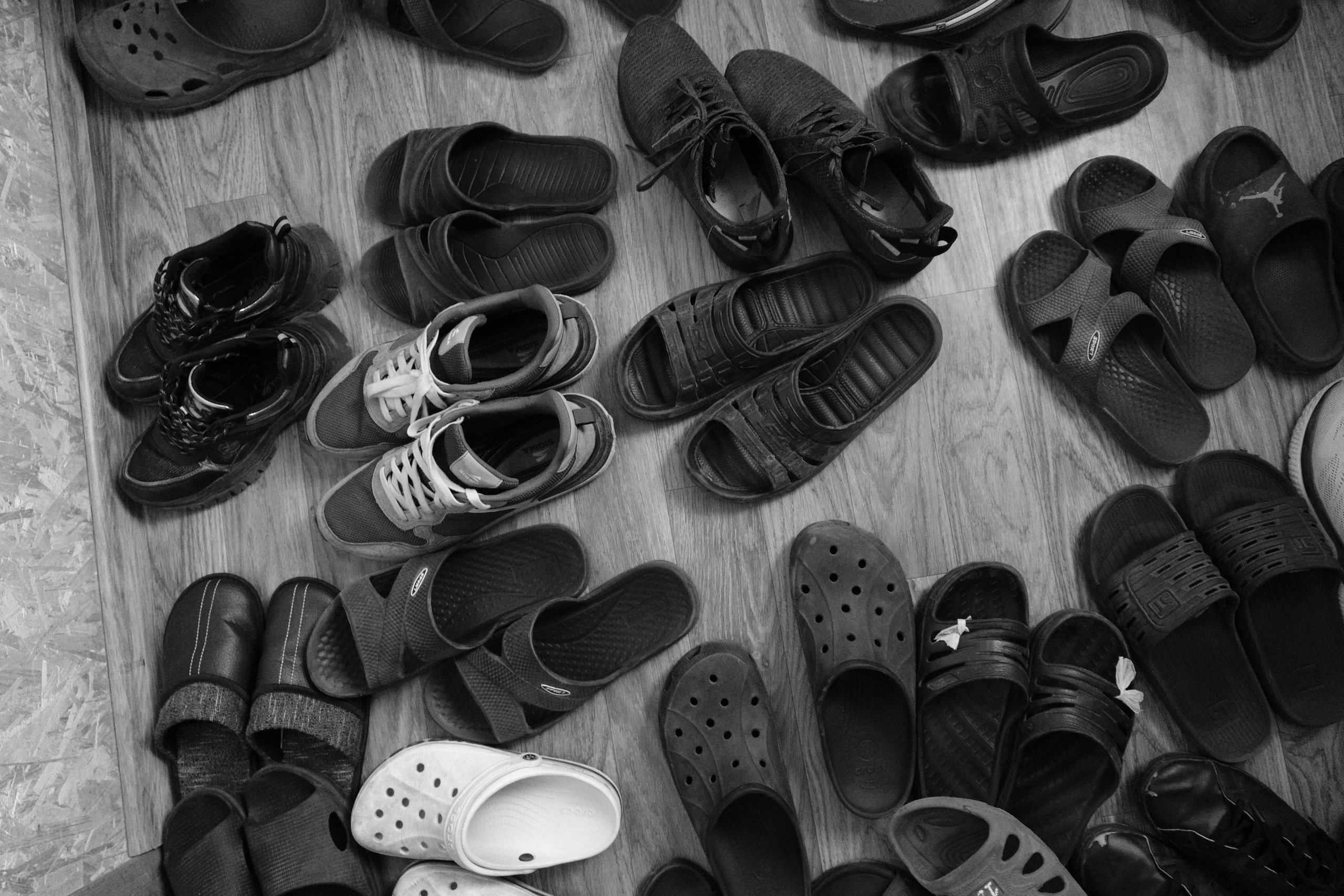 Сухобузимский 25.05-22.06.2025. Фотострелка