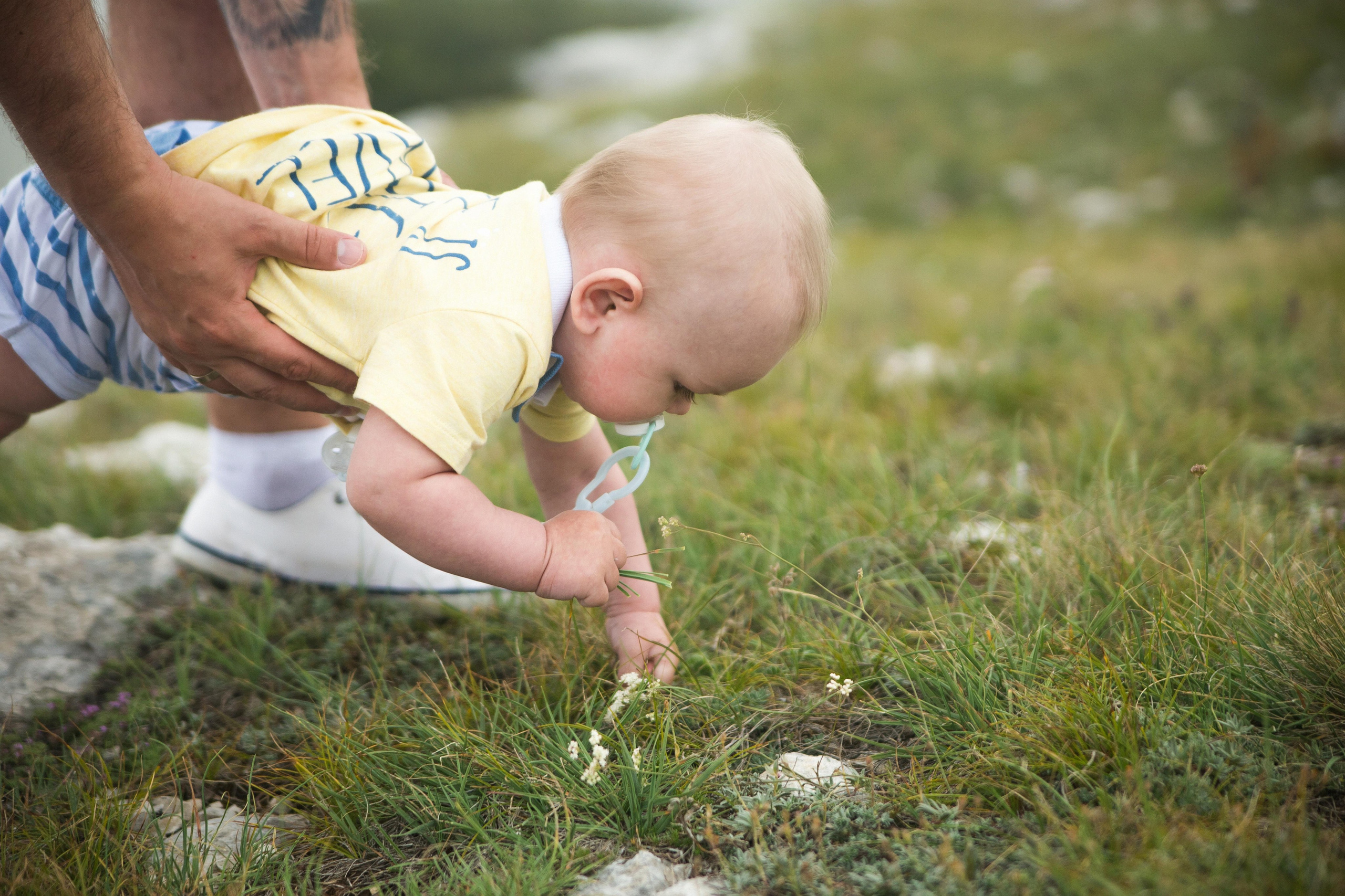 Семен Соколов