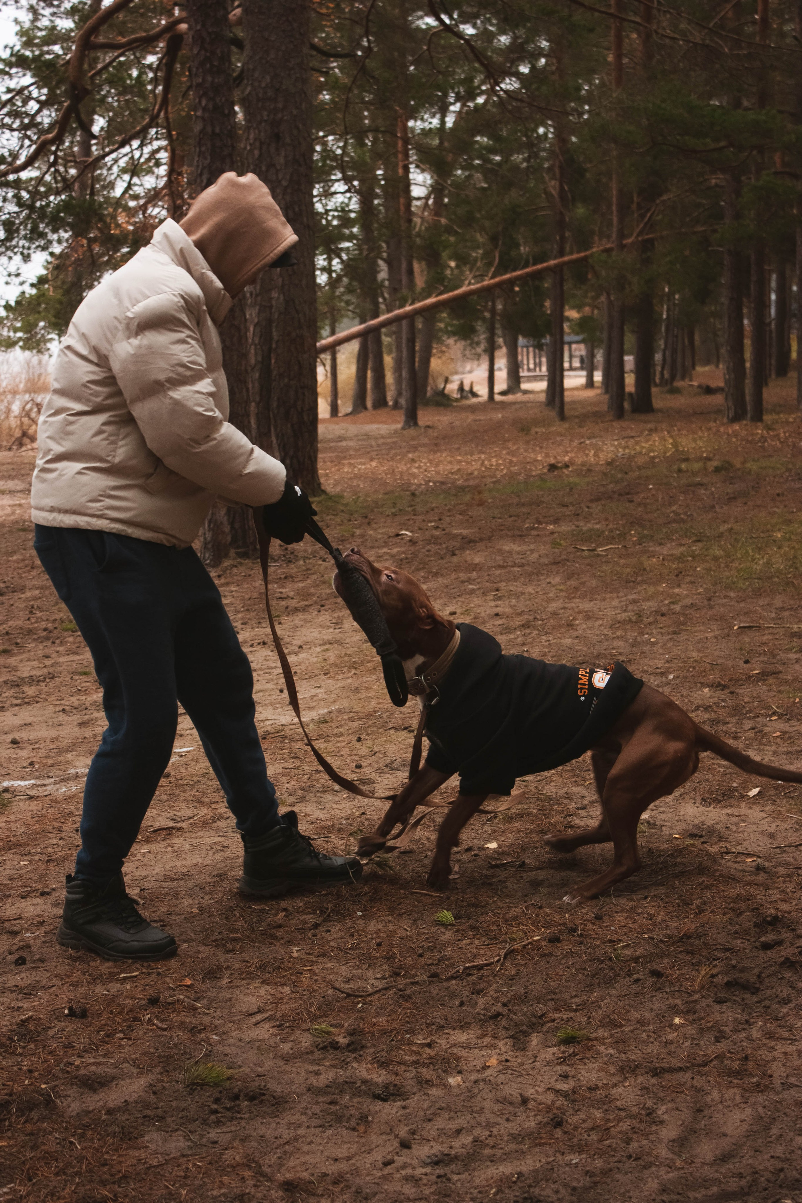 Айрон и Егор. Фотограф-анималист в Санкт-Петербурге Алина Яхонт