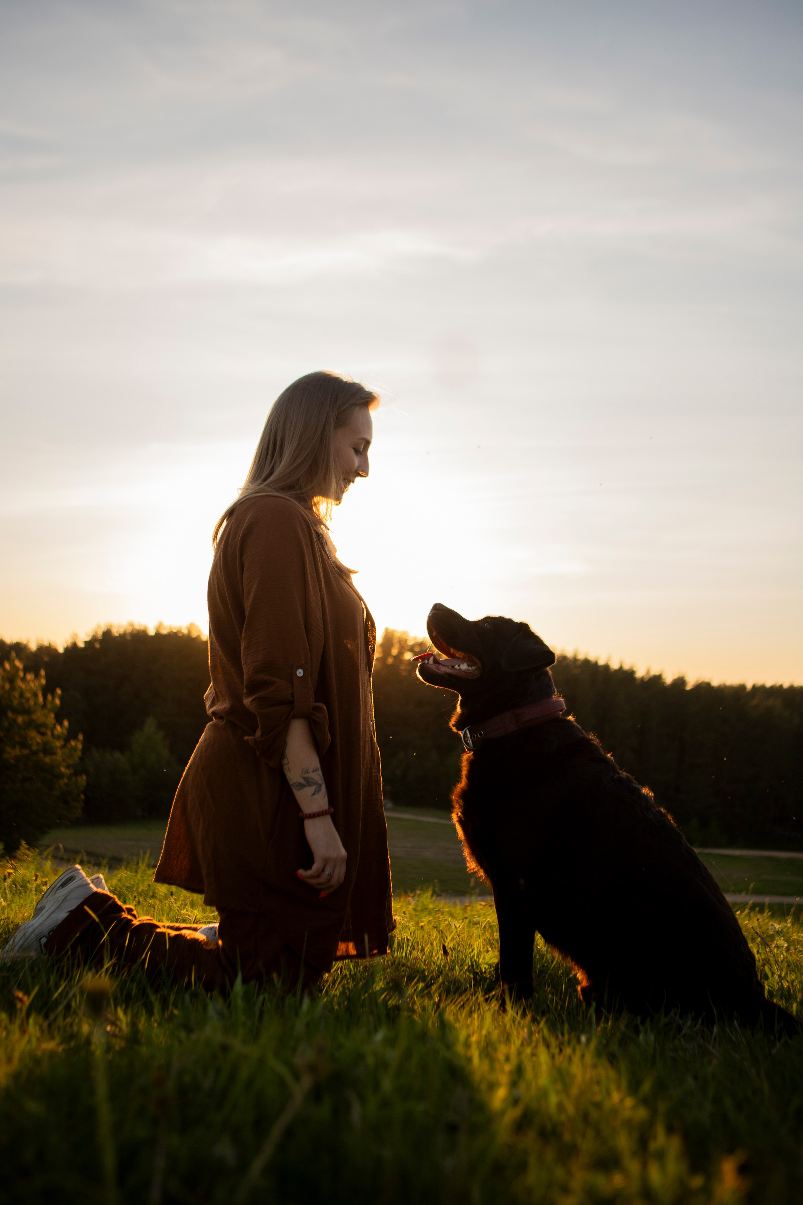 Закатная. Фотограф-анималист в Санкт-Петербурге Алина Яхонт