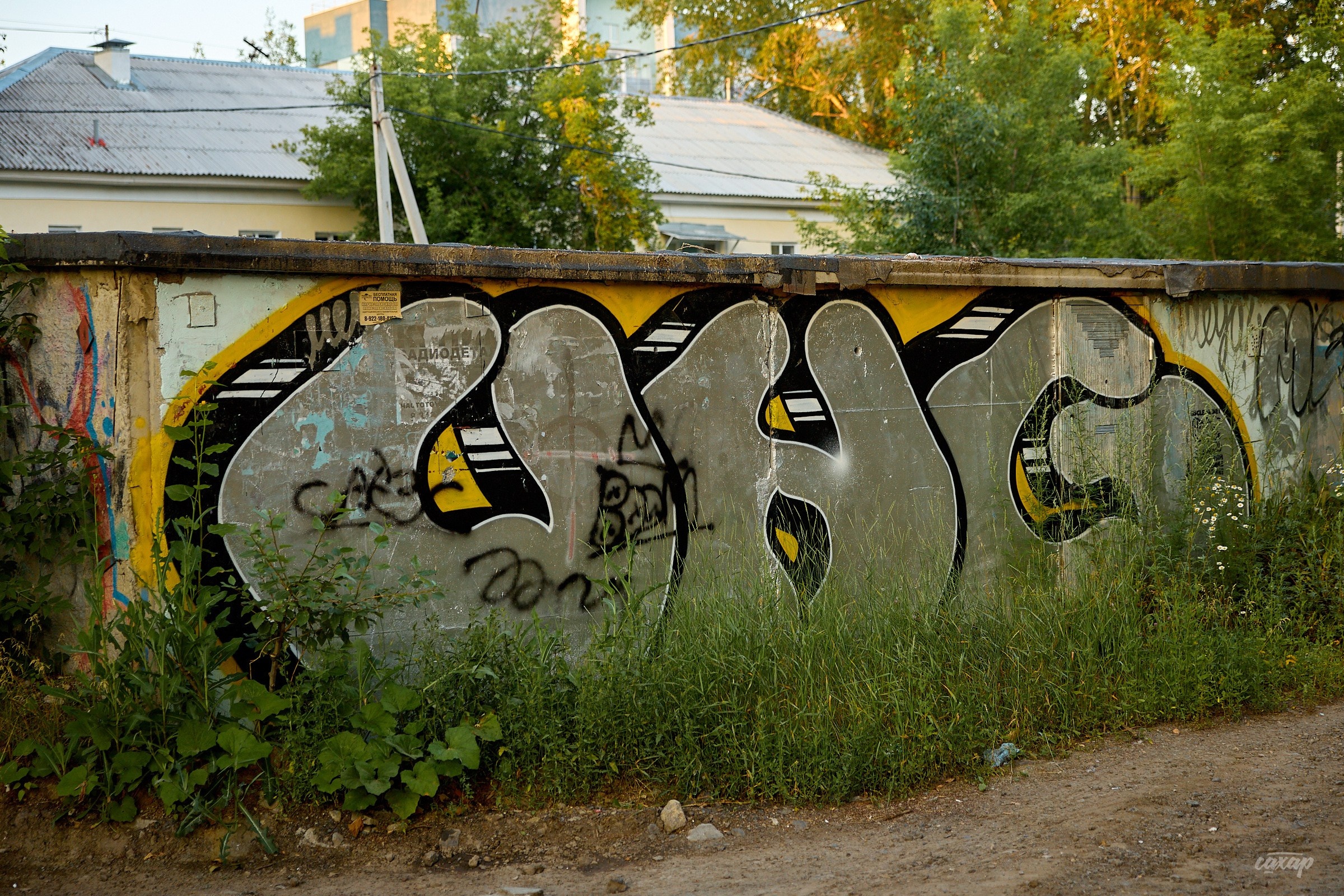 Не чай с Сахаром #5 от 17.07.2024. Профессиональный фотограф в Екатеринбурге Юра Сахар