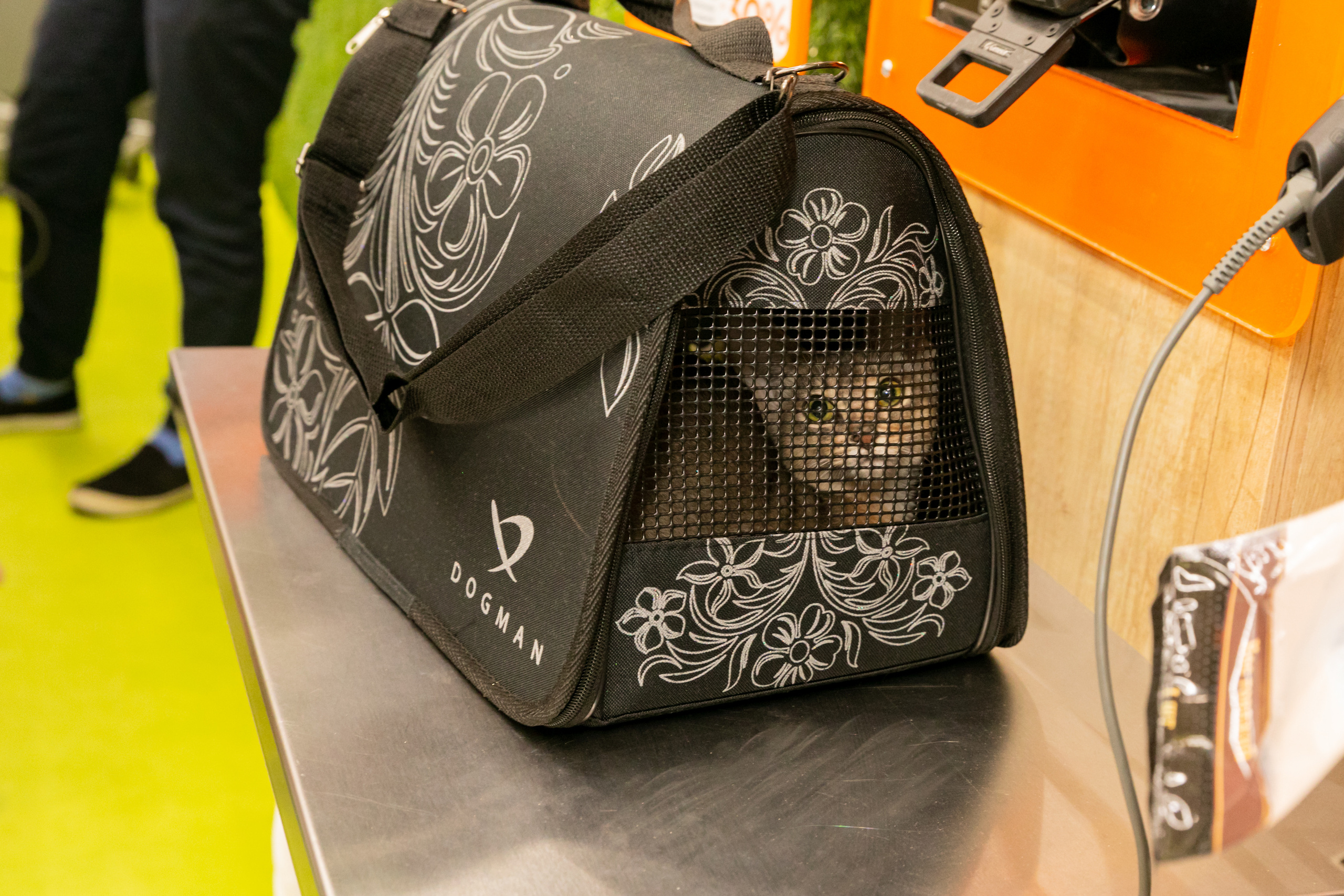 МЕГА (Кошечки). Дима Колес / фото и видео съёмка в Москве