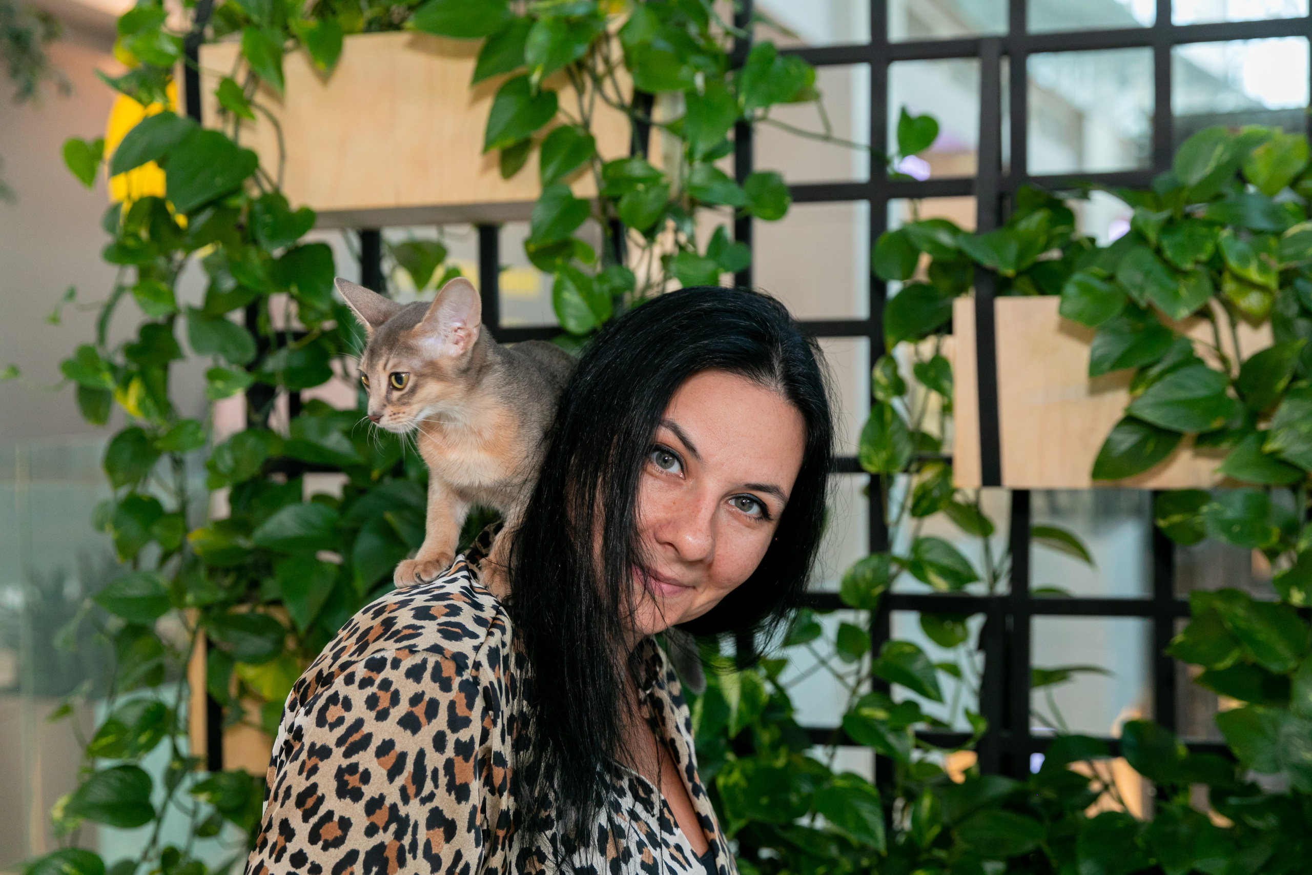 МЕГА (Кошечки). Дима Колес / фото и видео съёмка в Москве