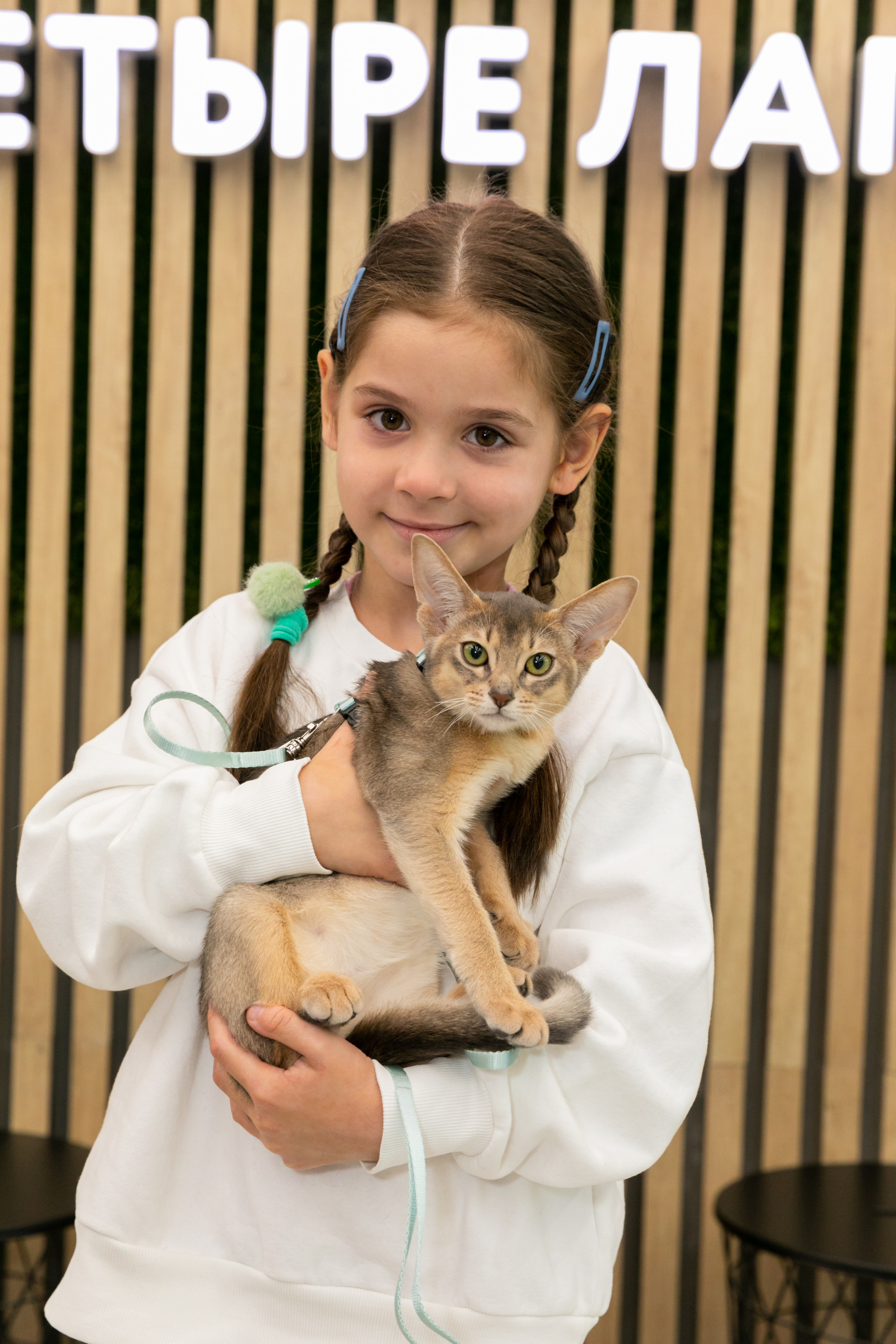 МЕГА (Кошечки). Дима Колес / фото и видео съёмка в Москве