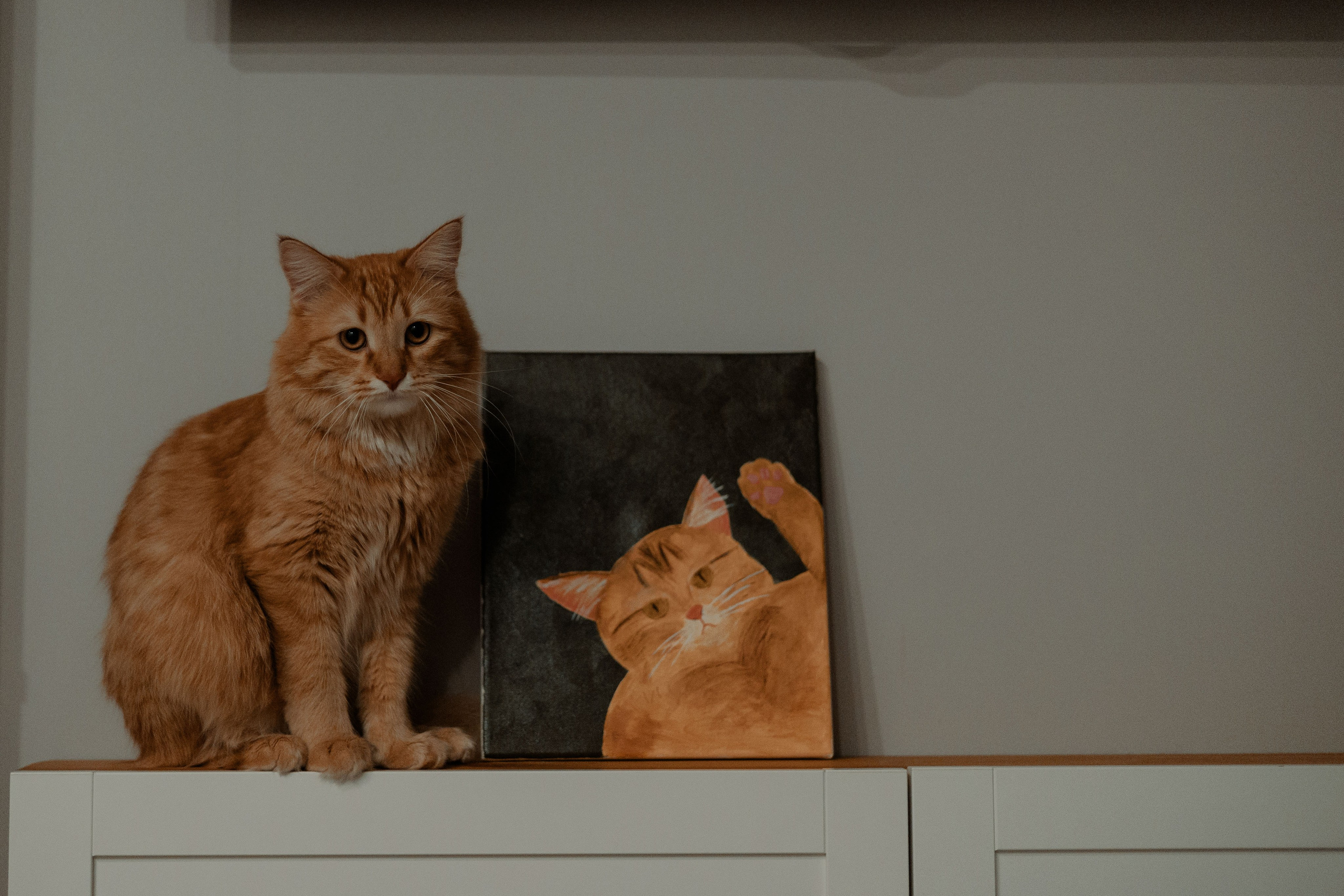 Рыжий Маффин, Алёна и Антон. Фотограф Анималист Екатерина Справцева в Нижнем Новгороде