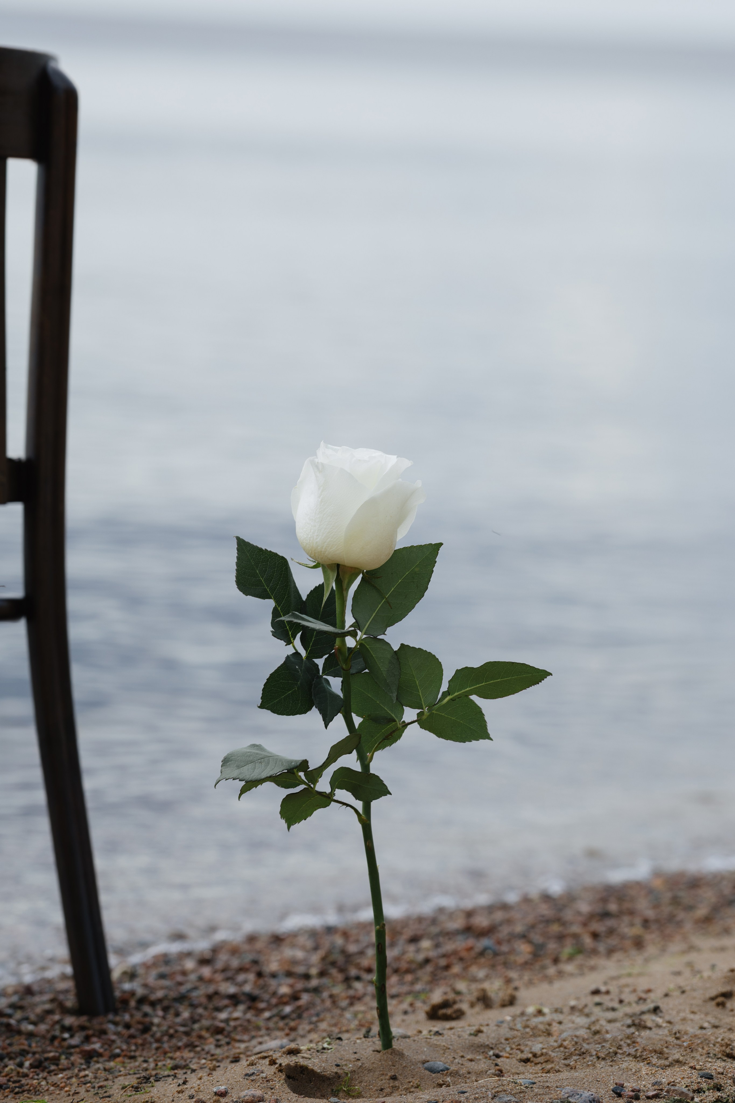 К тебе босиком. Портретный фотограф в Санкт-Петербурге
