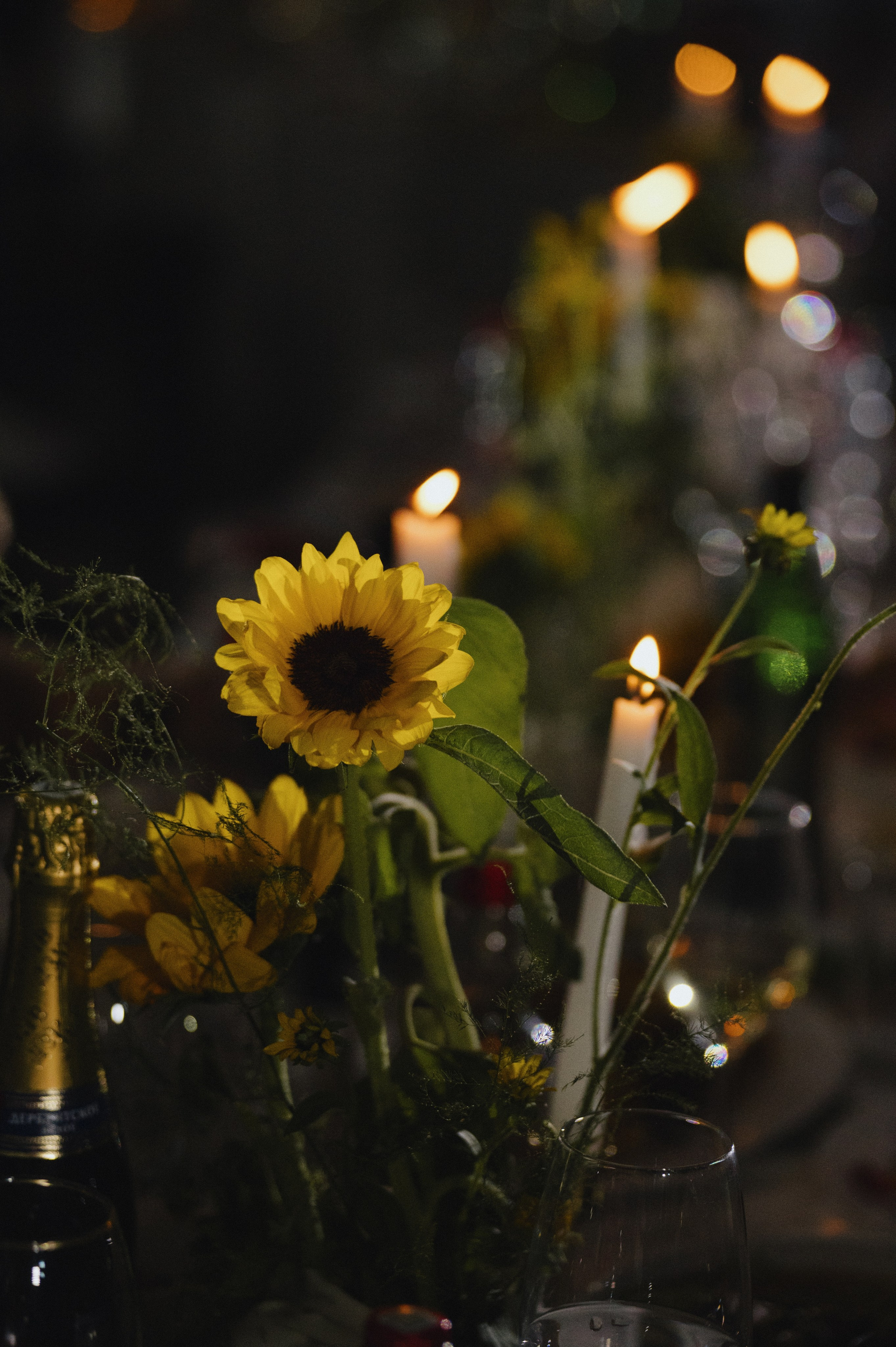 Артём и Анастасия. Свадебный фотограф и видеограф