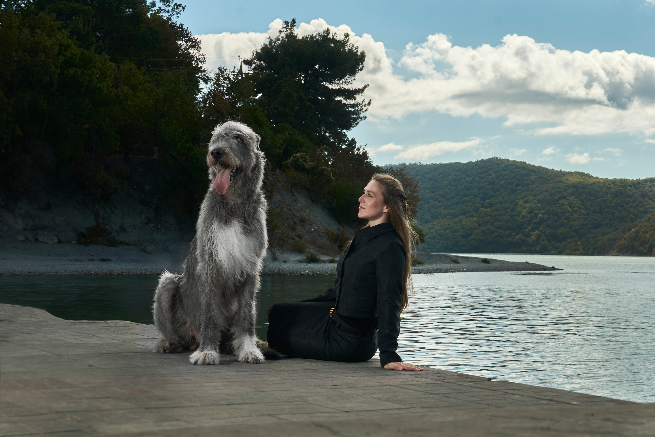 Собаки и люди