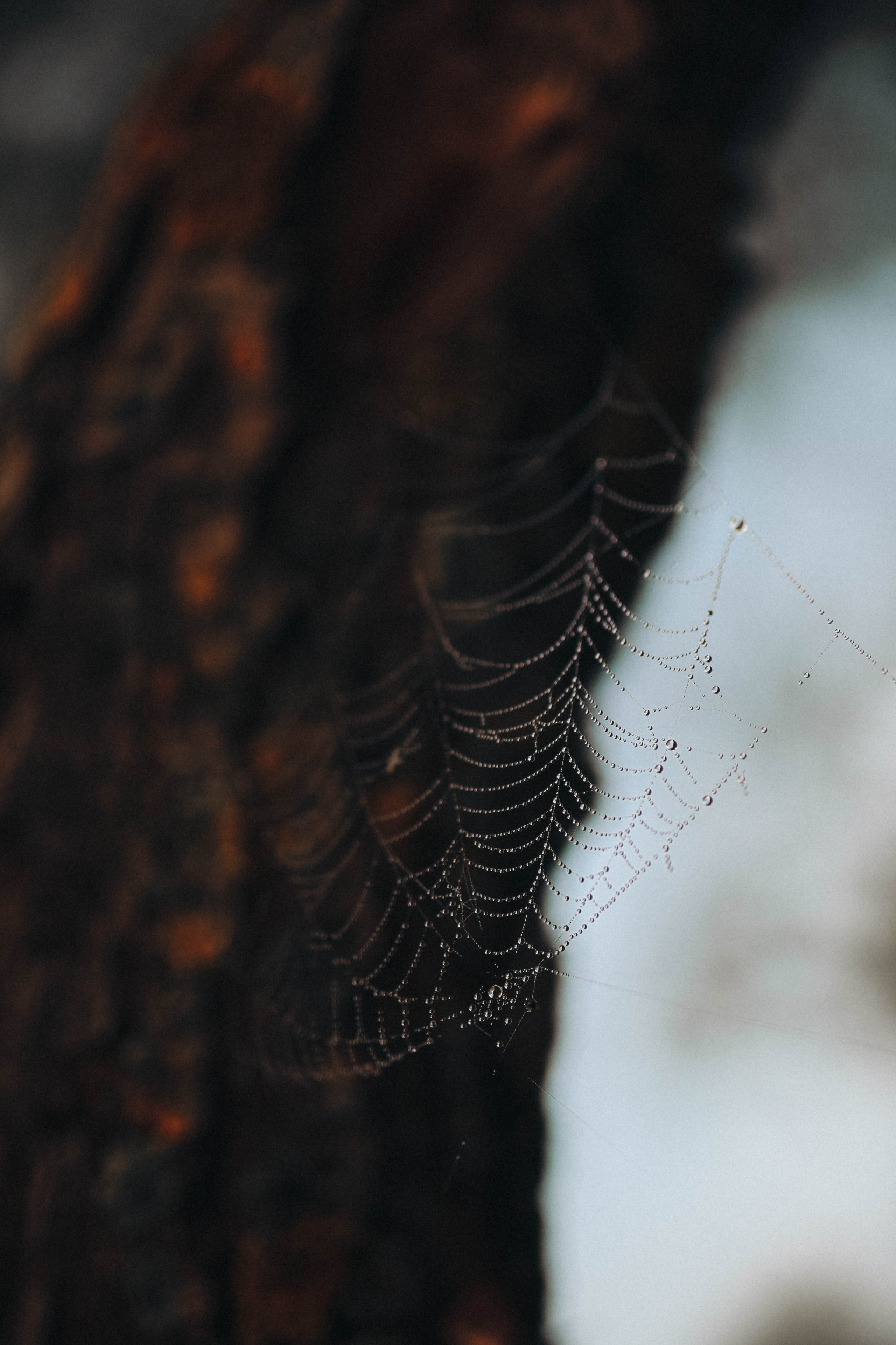Алина. Фотограф во Владимире Яна Чубич
