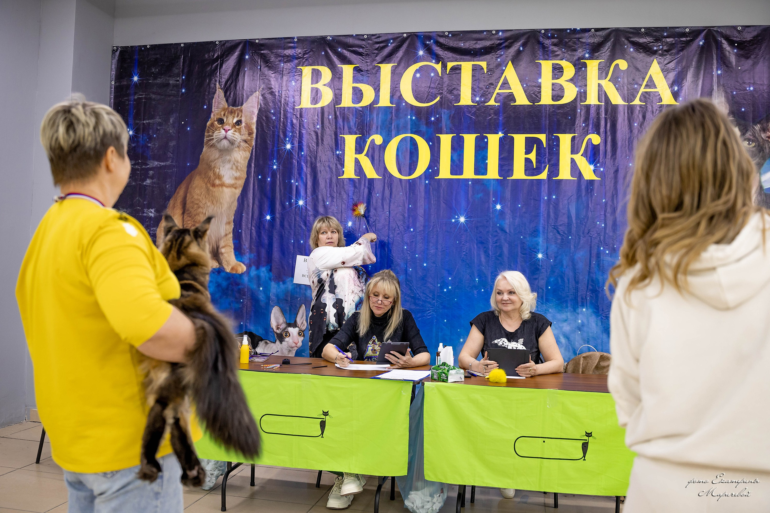 11–12 апреля — Интершоу — «Звездная Галактика Доброго Кота». Работаю со стендом. Фотограф-анималист в Омске Екатерина Маричева