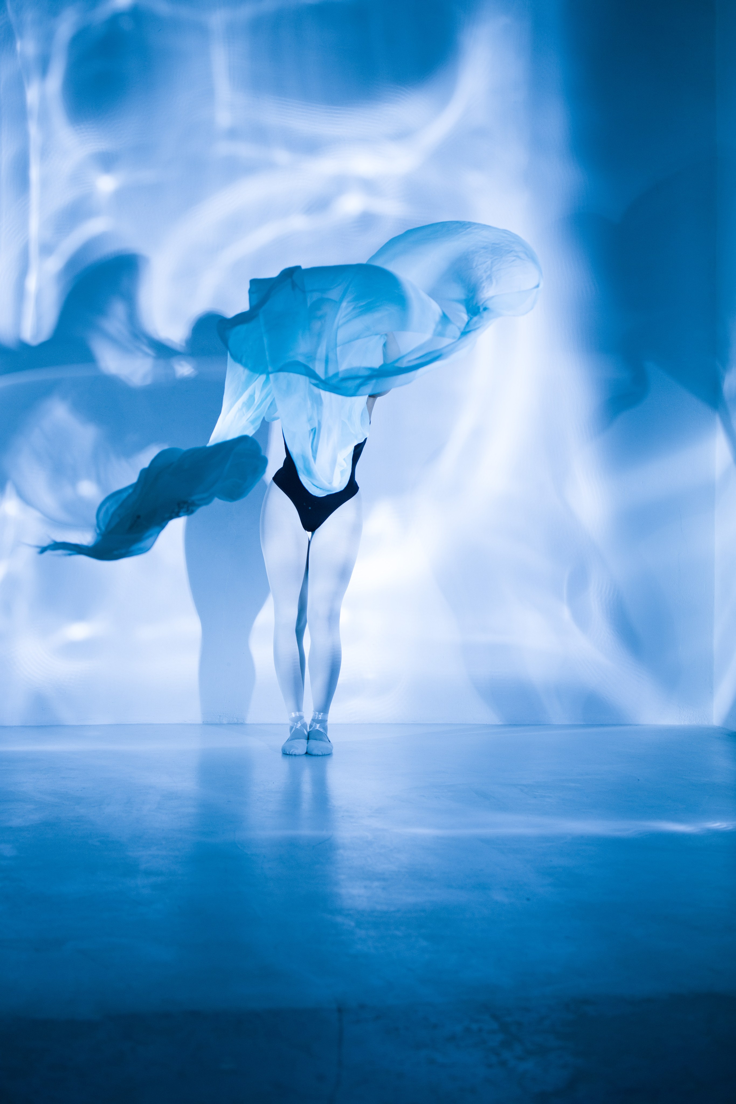 Лилия. Художественная фотография