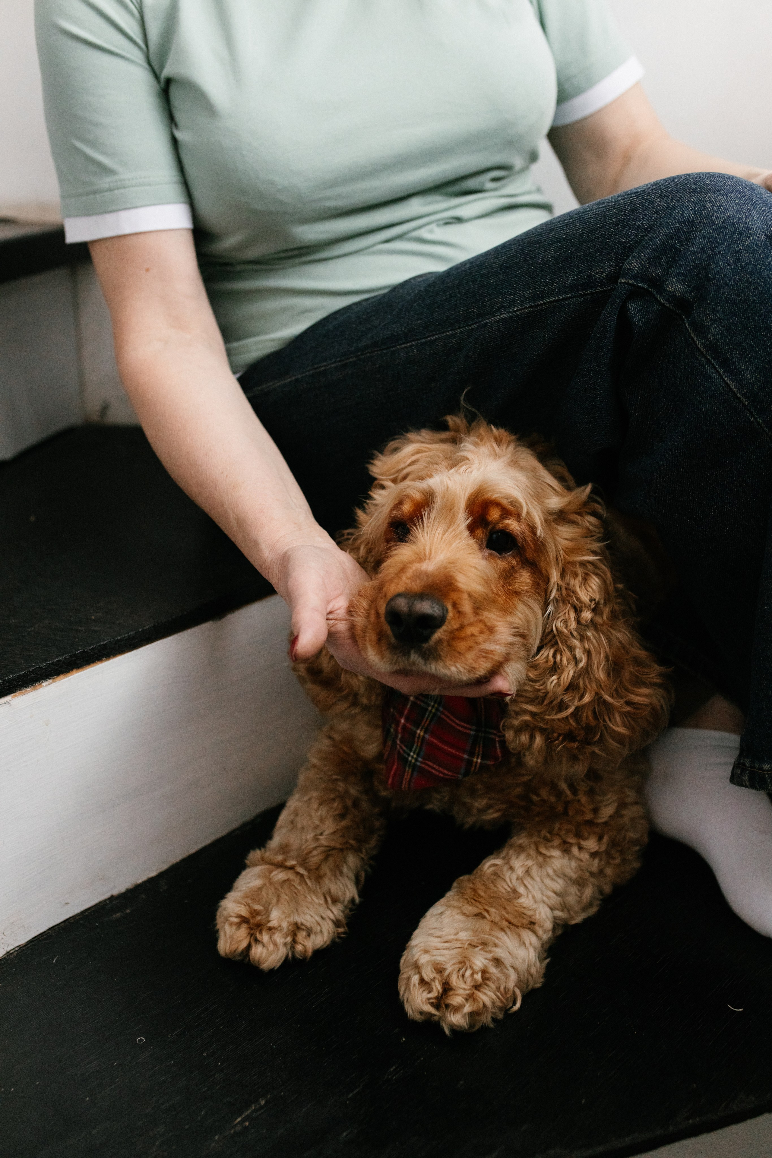 Семейные новогодние. Фотограф Катя Трусова
