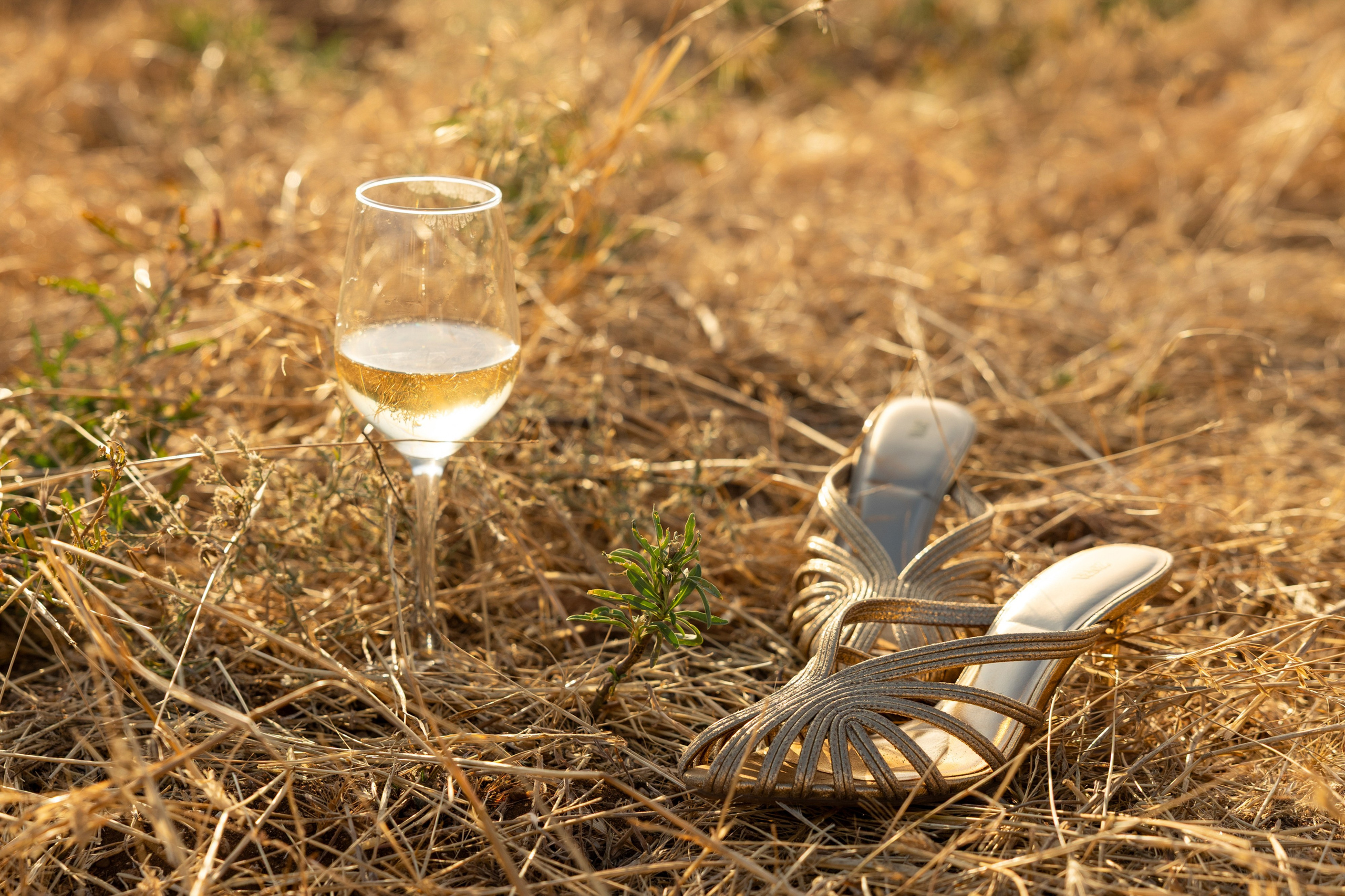 Events. Событийный и портретный фотограф в Москве — Адам Черноуски