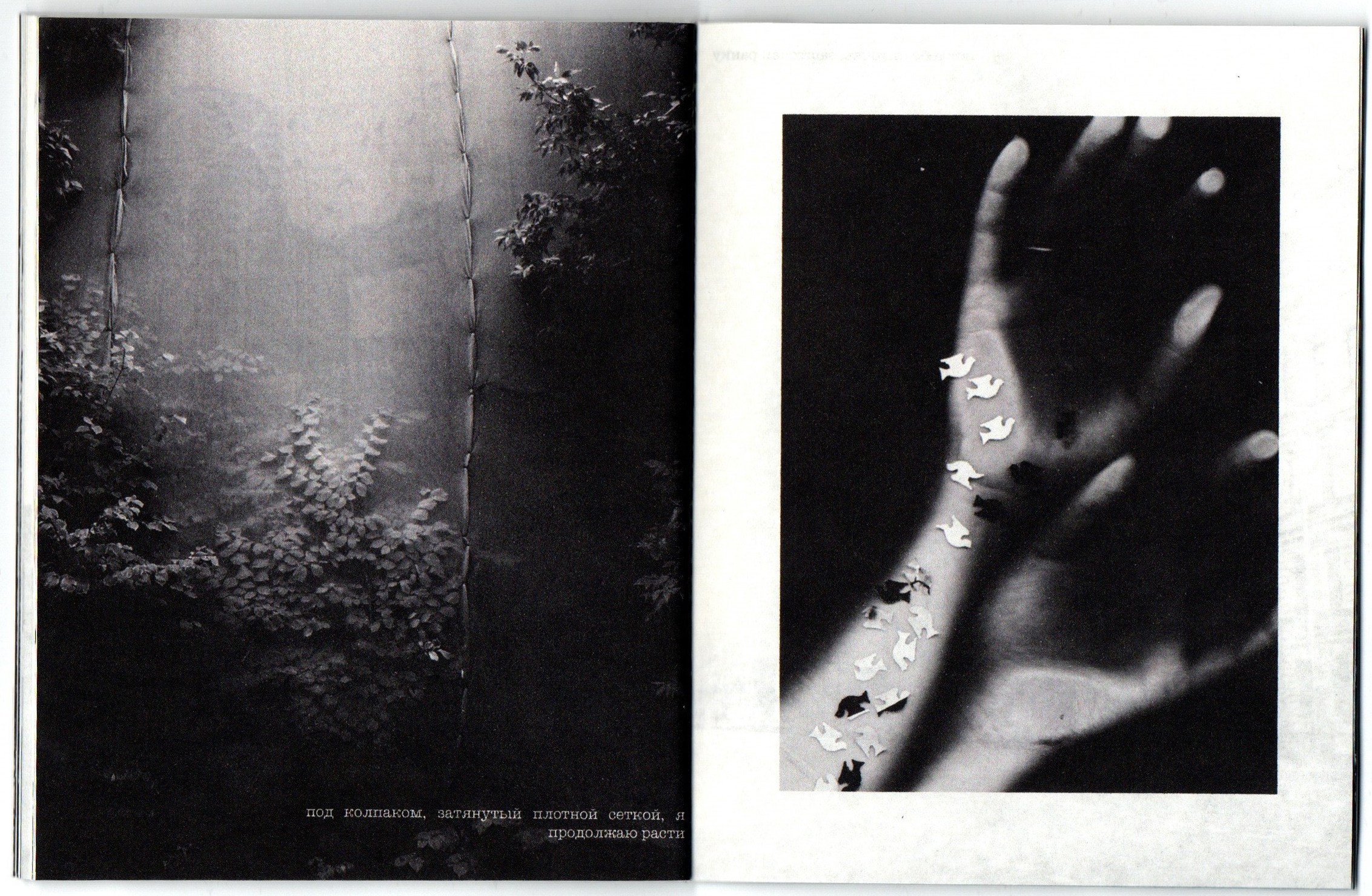 Приют несовершенных дел. Фотограф Анна Кирнос