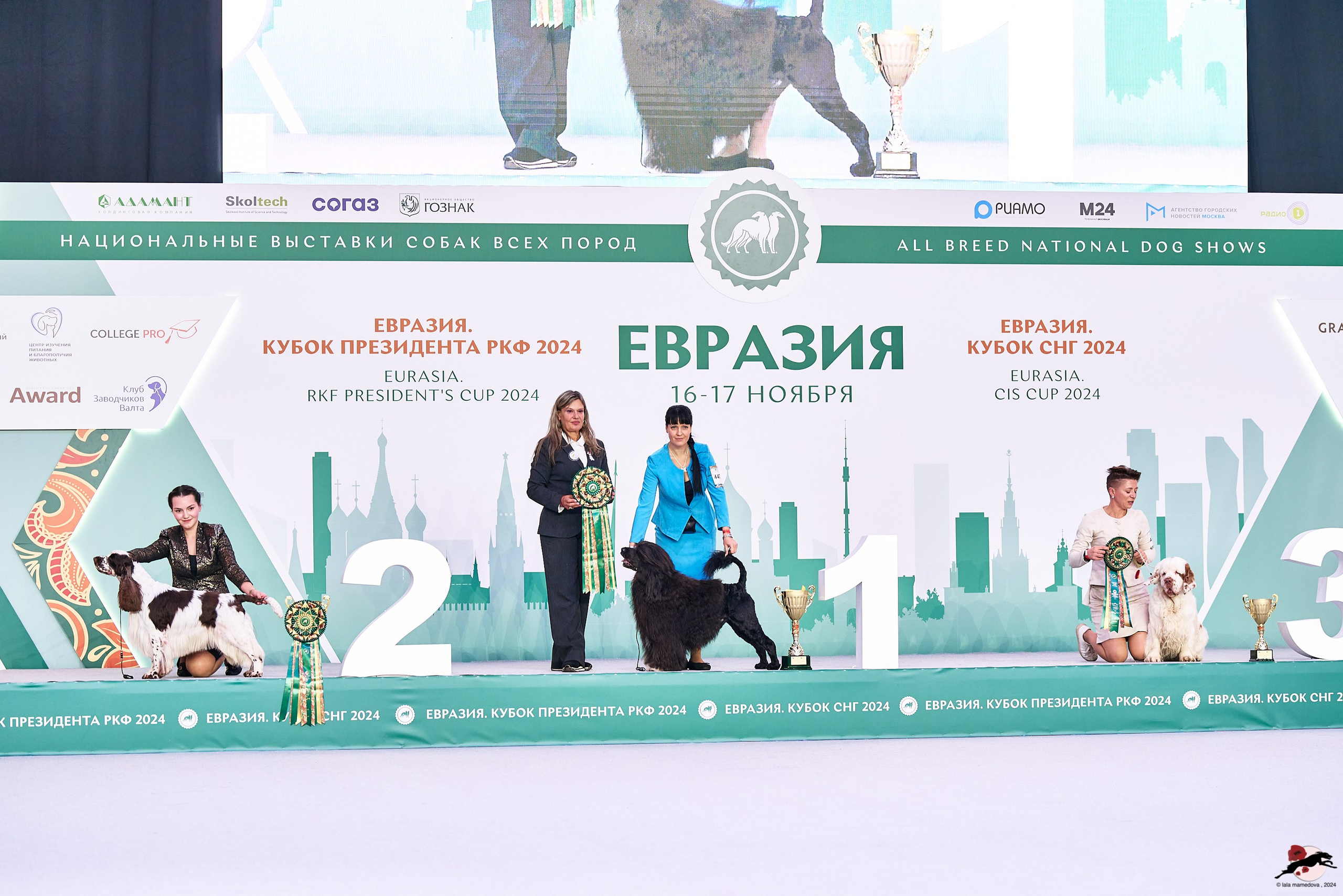 16.11.2024 «ЕВРАЗИЯ. КУБОК ПРЕЗИДЕНТА РКФ 2024»