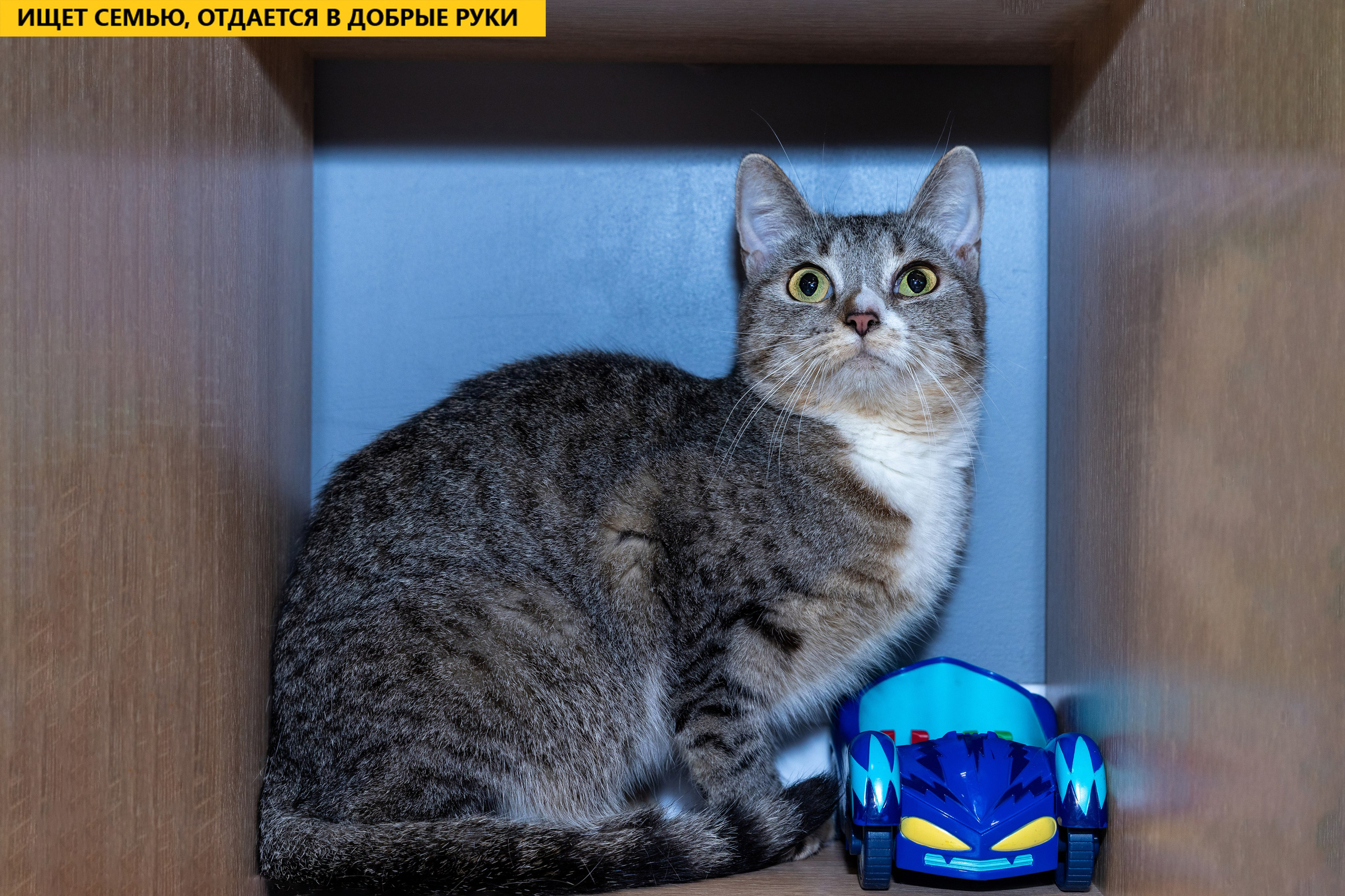 Рекламная съемка в Москве. Геннадий Степанов —фотограф в Москве