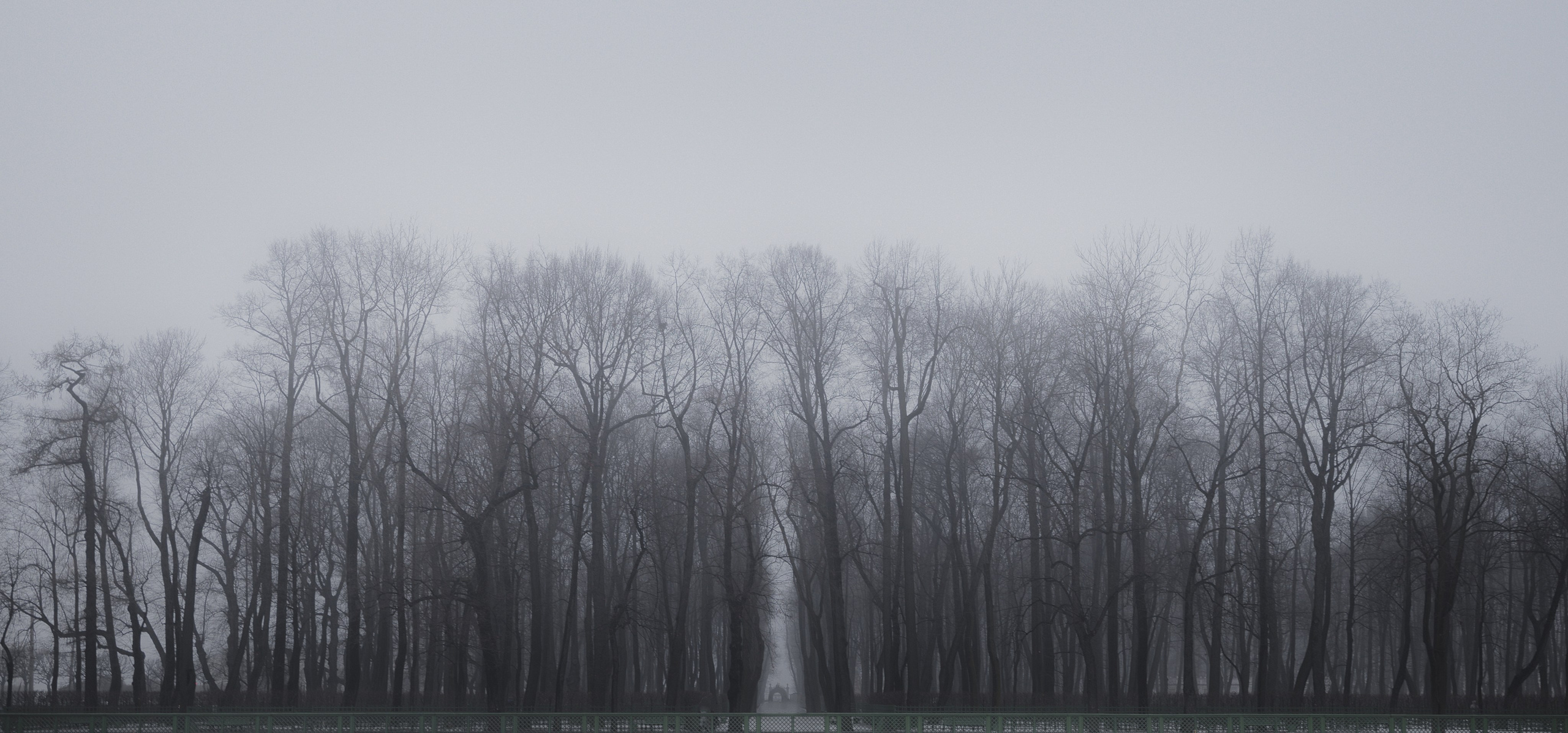 Санкт-Петербург. Фотограф Балаев Михаил