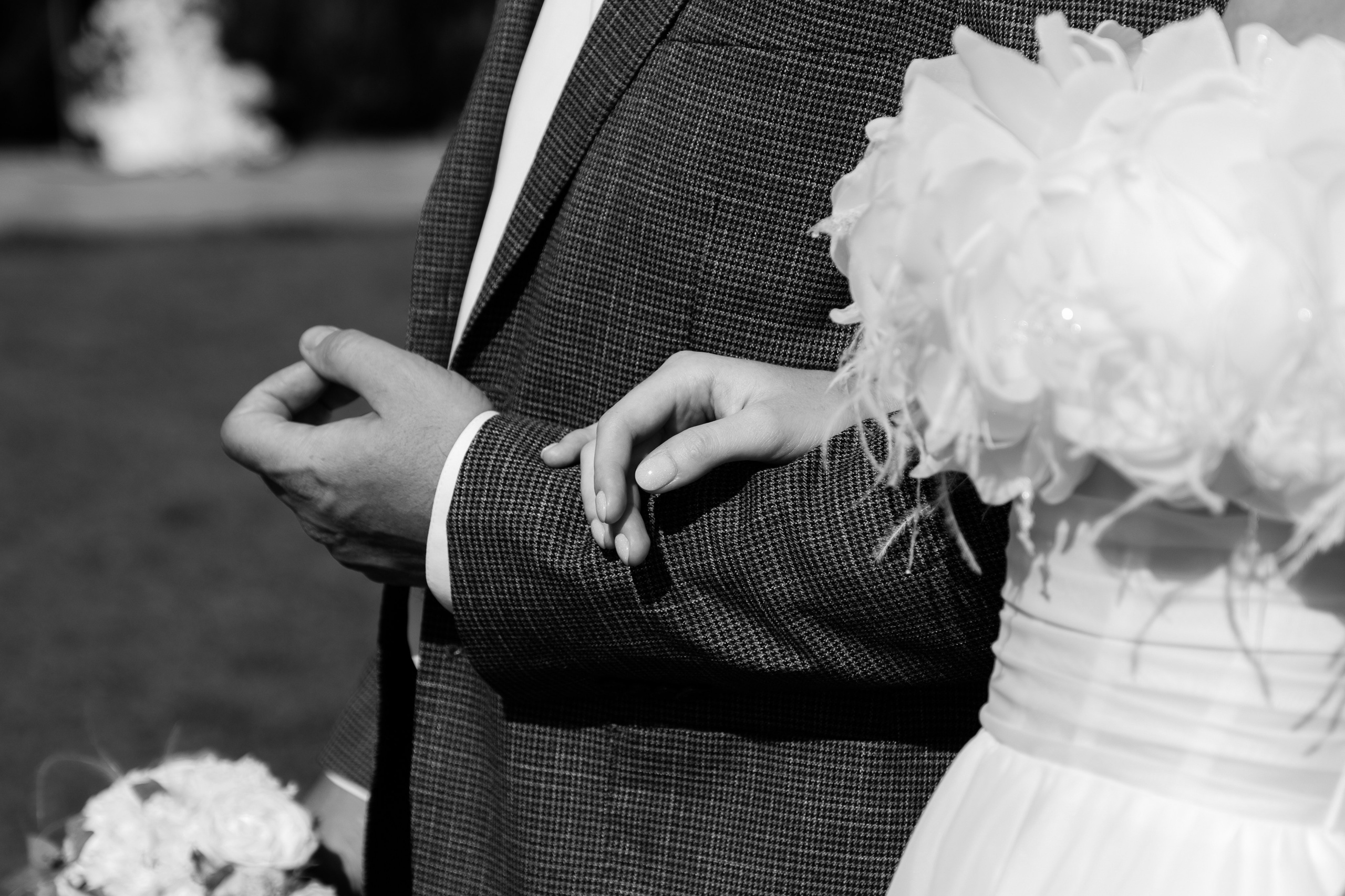 Vladimir Daria. Wedding photographer