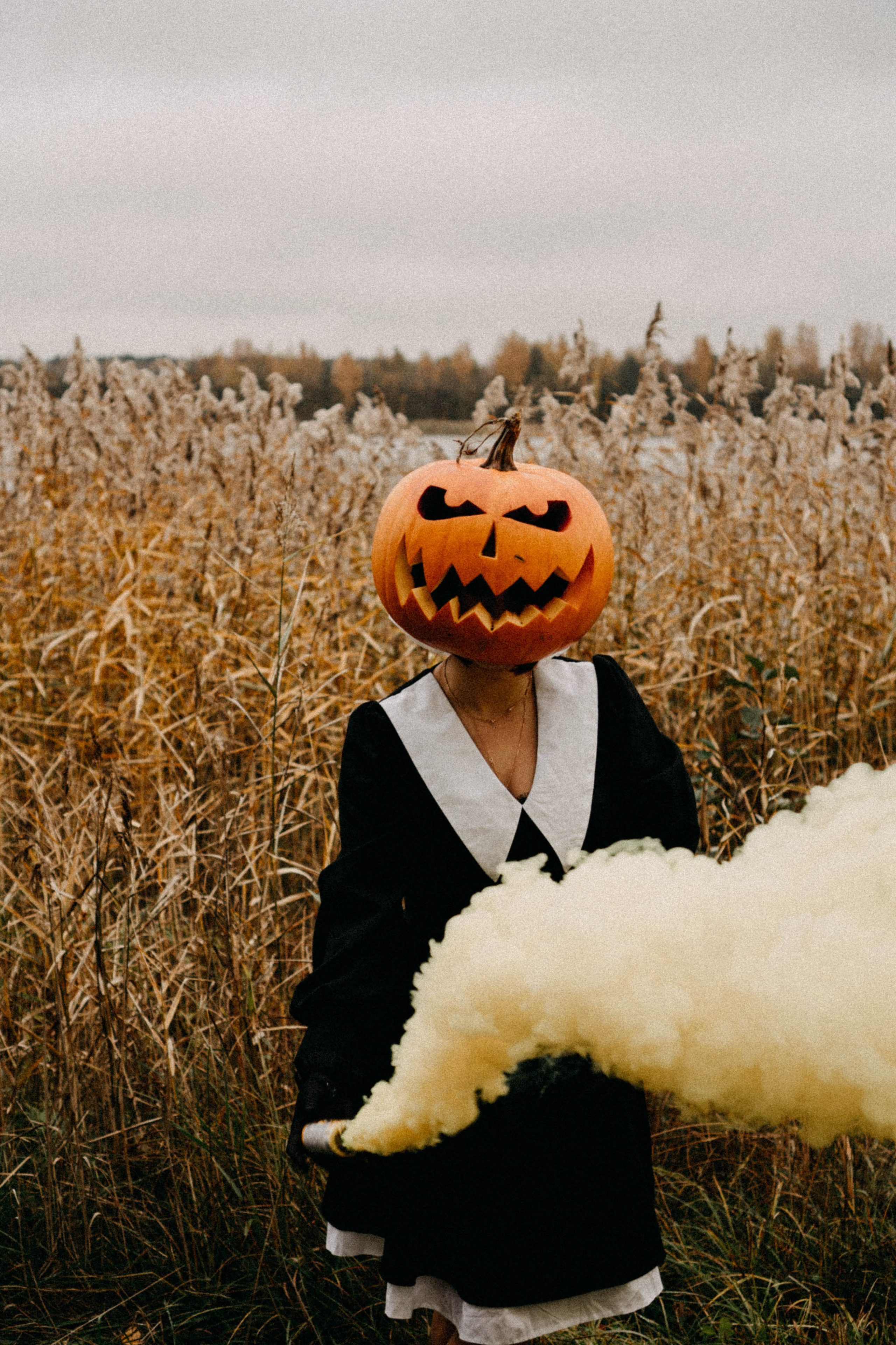 Осеняя. Профессиональный фотограф, Санкт-Петербург — Виктория Богомолова