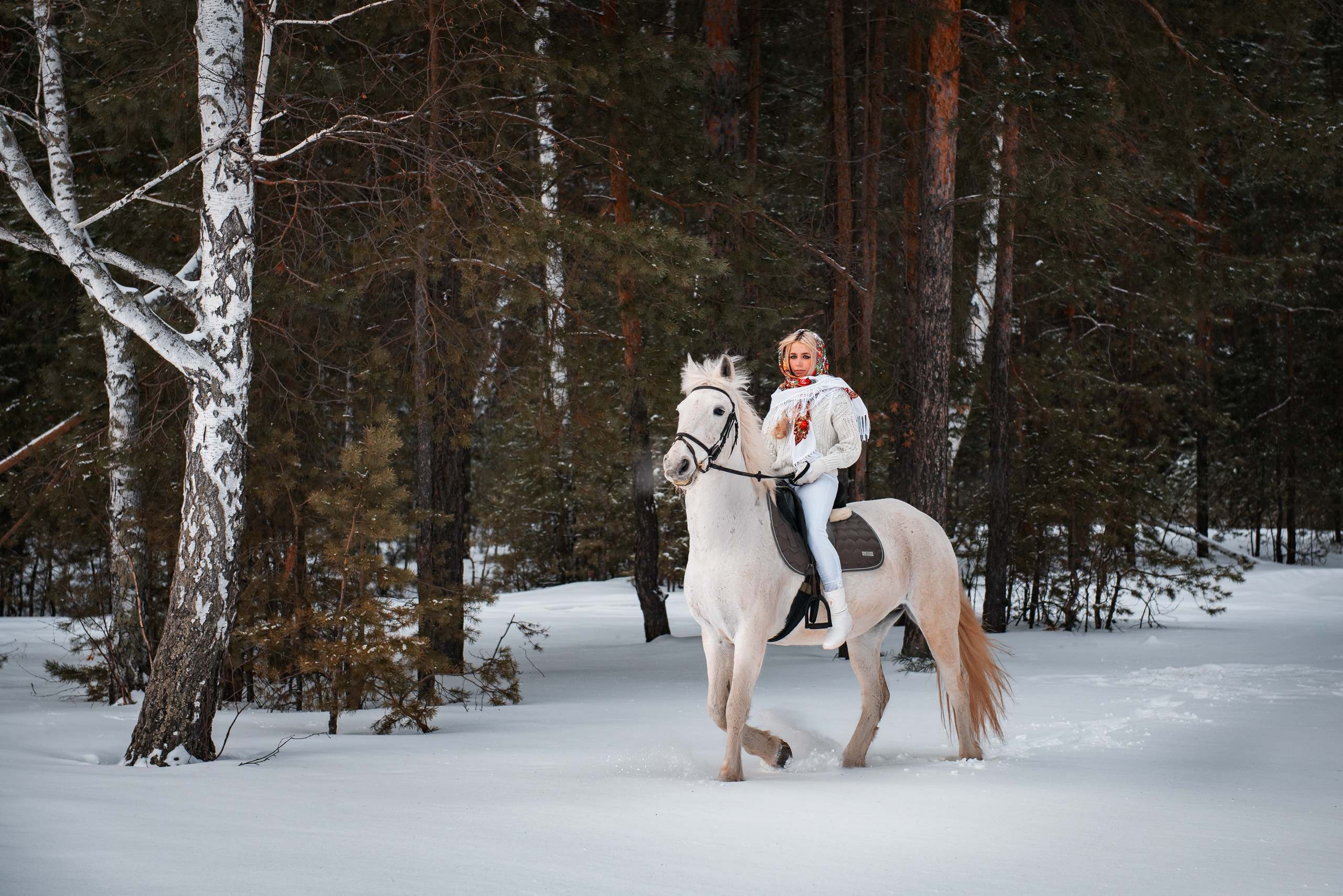 С лошадьми. Belichev45foto.ru