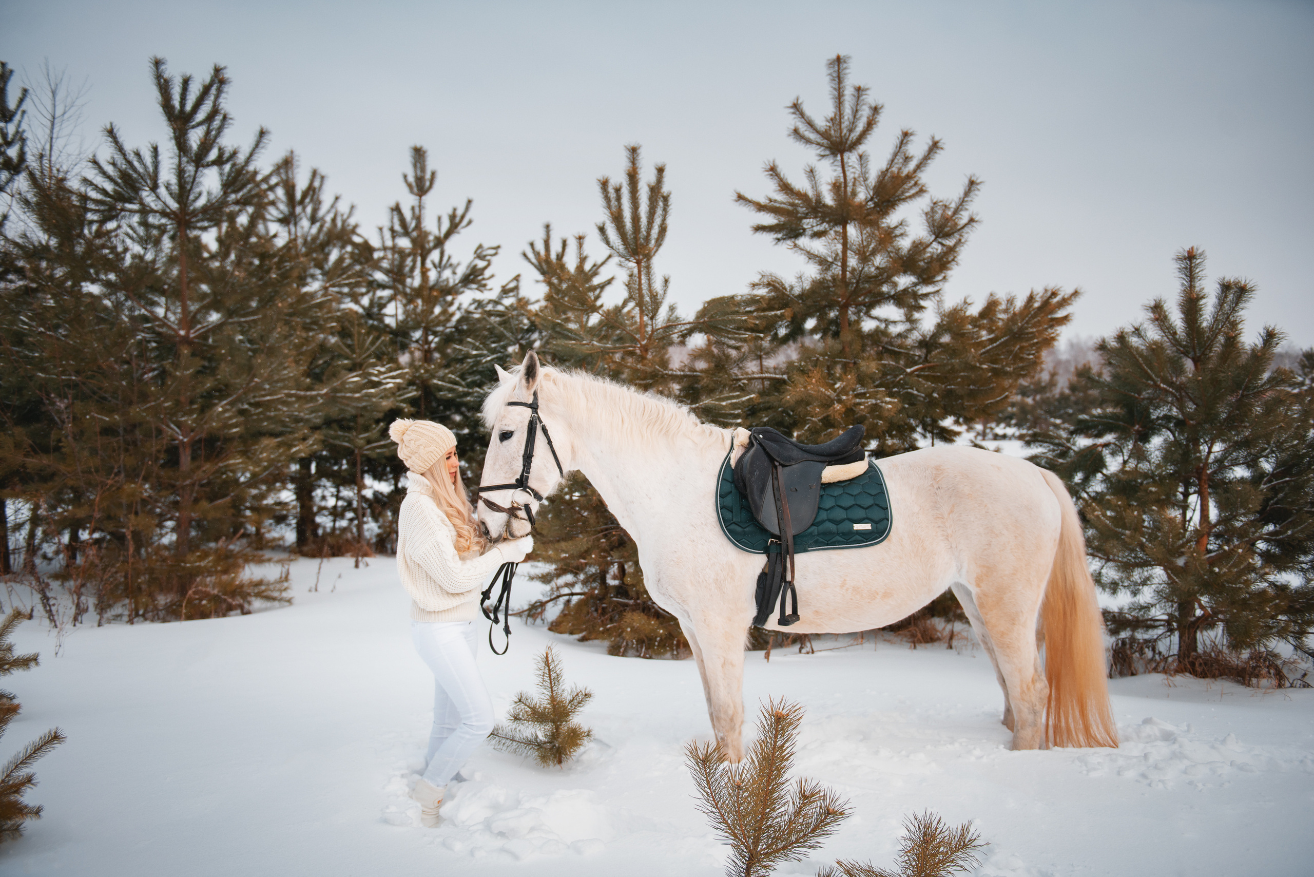 С лошадьми. Belichev45foto.ru