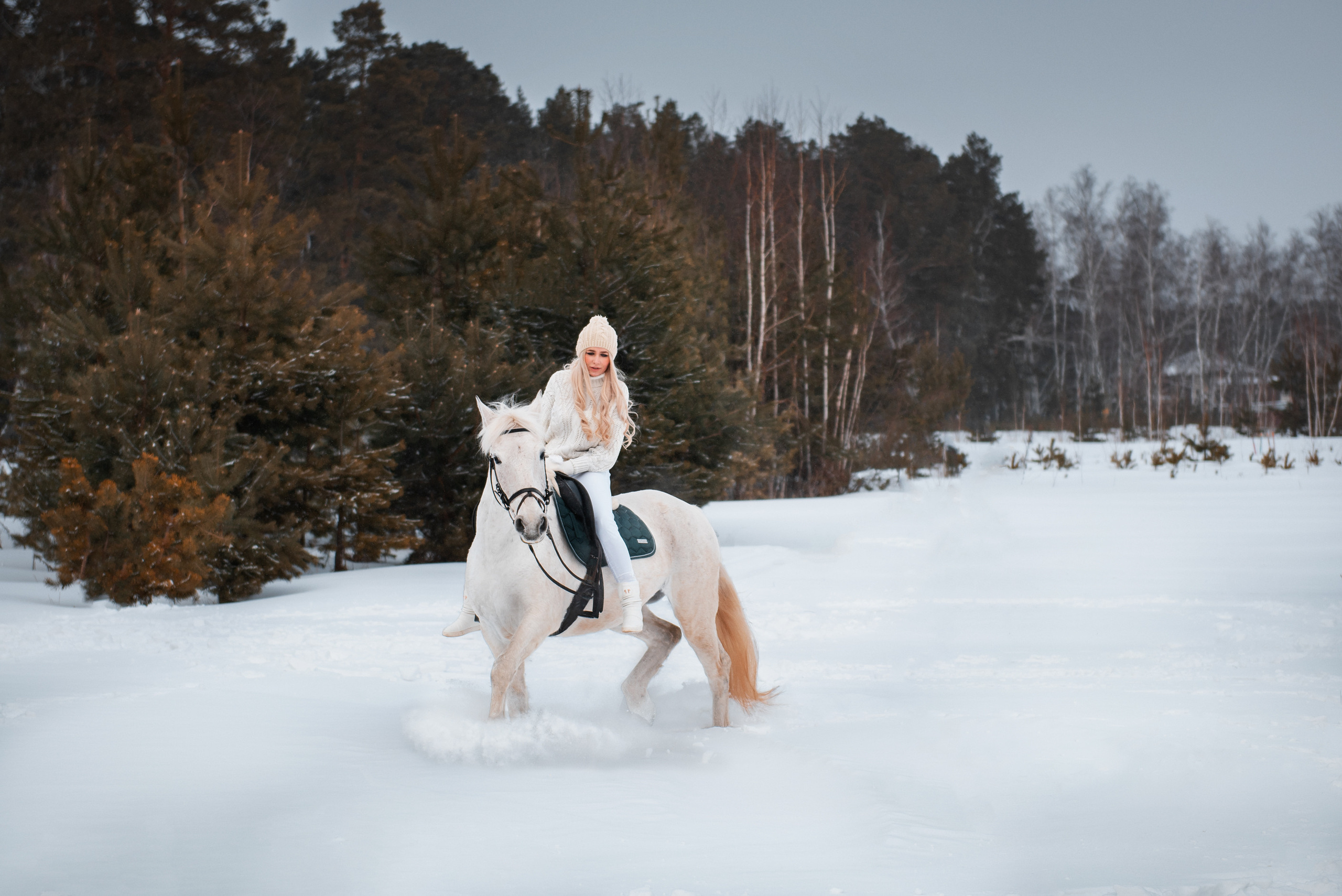 С лошадьми. Belichev45foto.ru