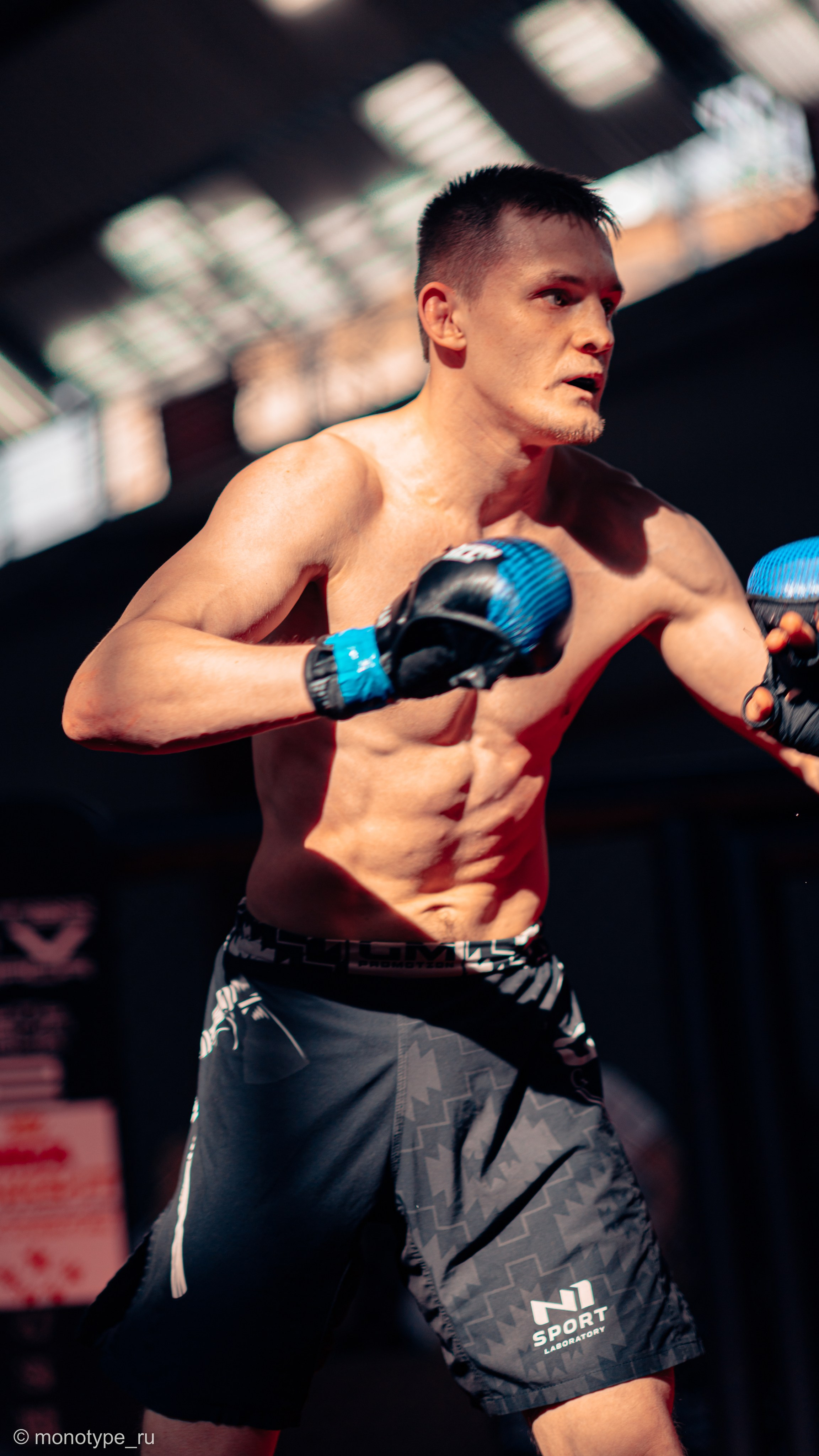 MMA. Бойцовский турнир