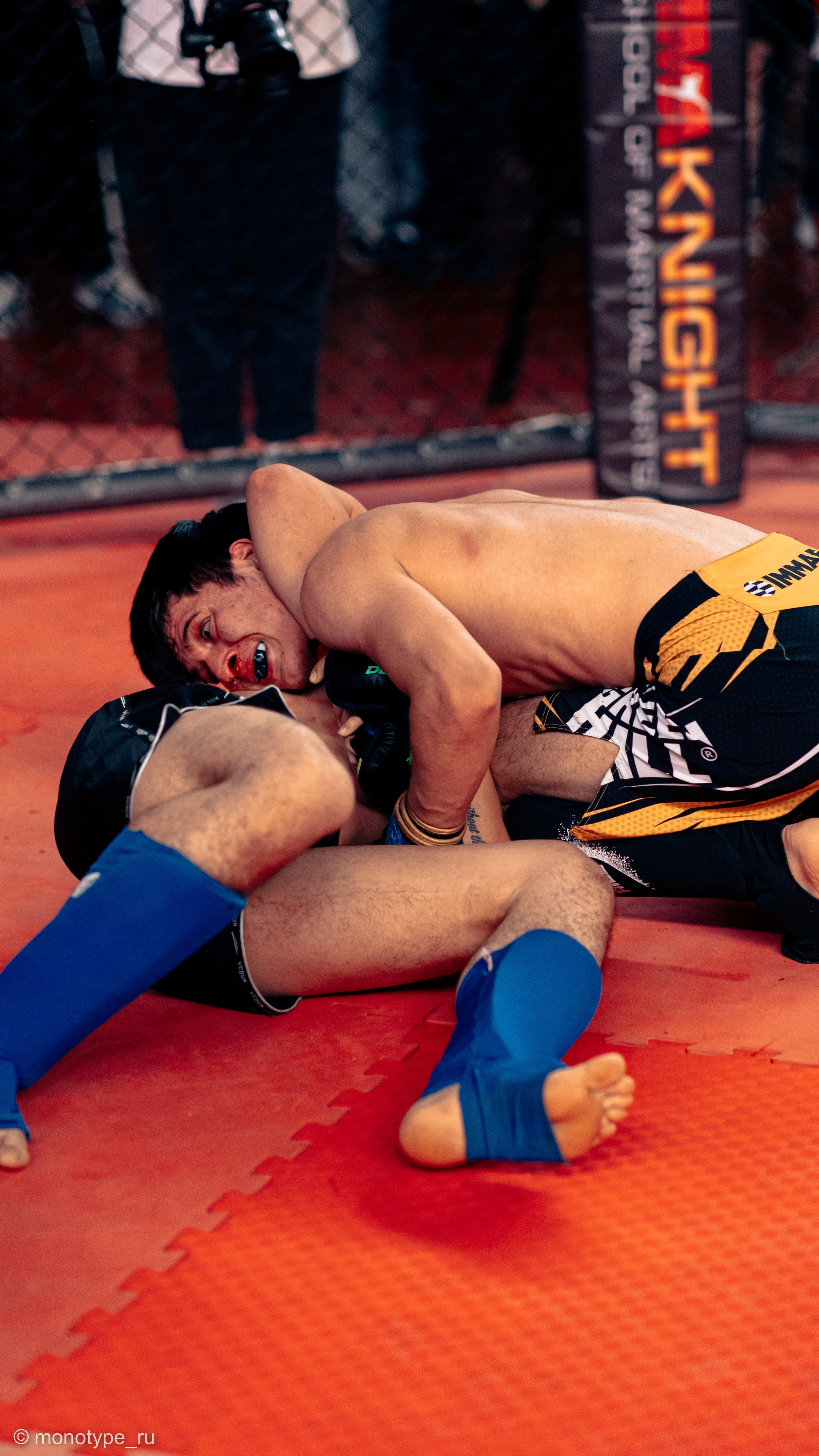 MMA. Бойцовский турнир