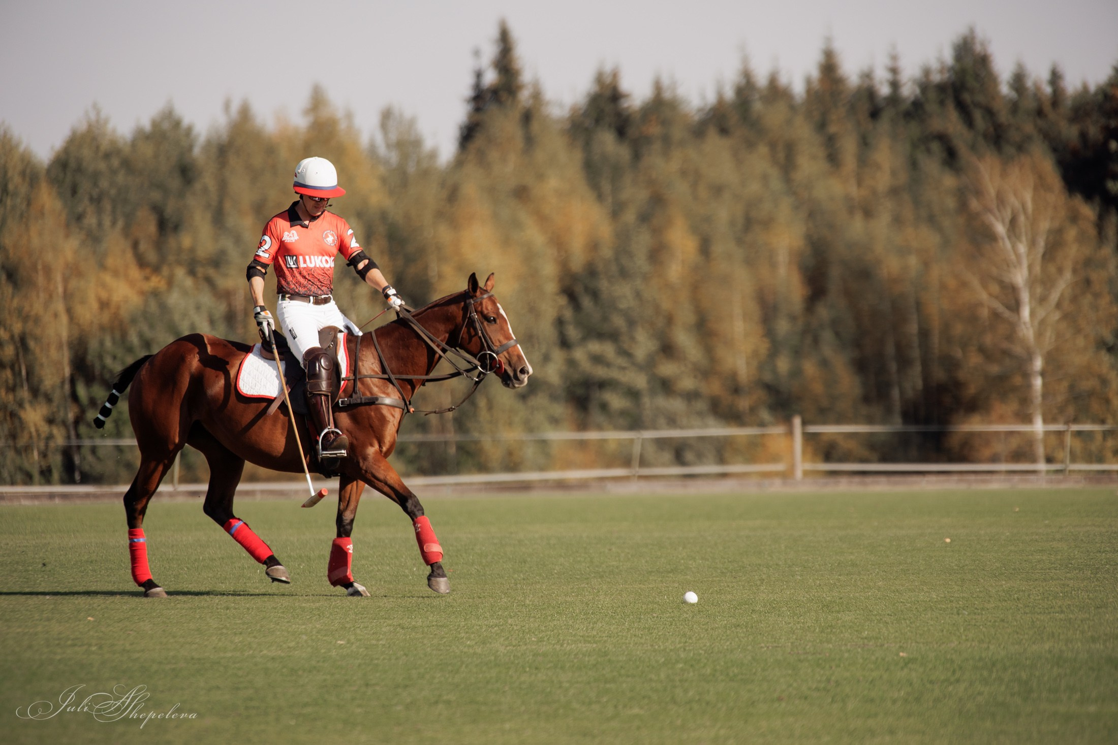 Осенний кубок по конному поло. Детская Конная фотография в Москве Юлия Шепелева