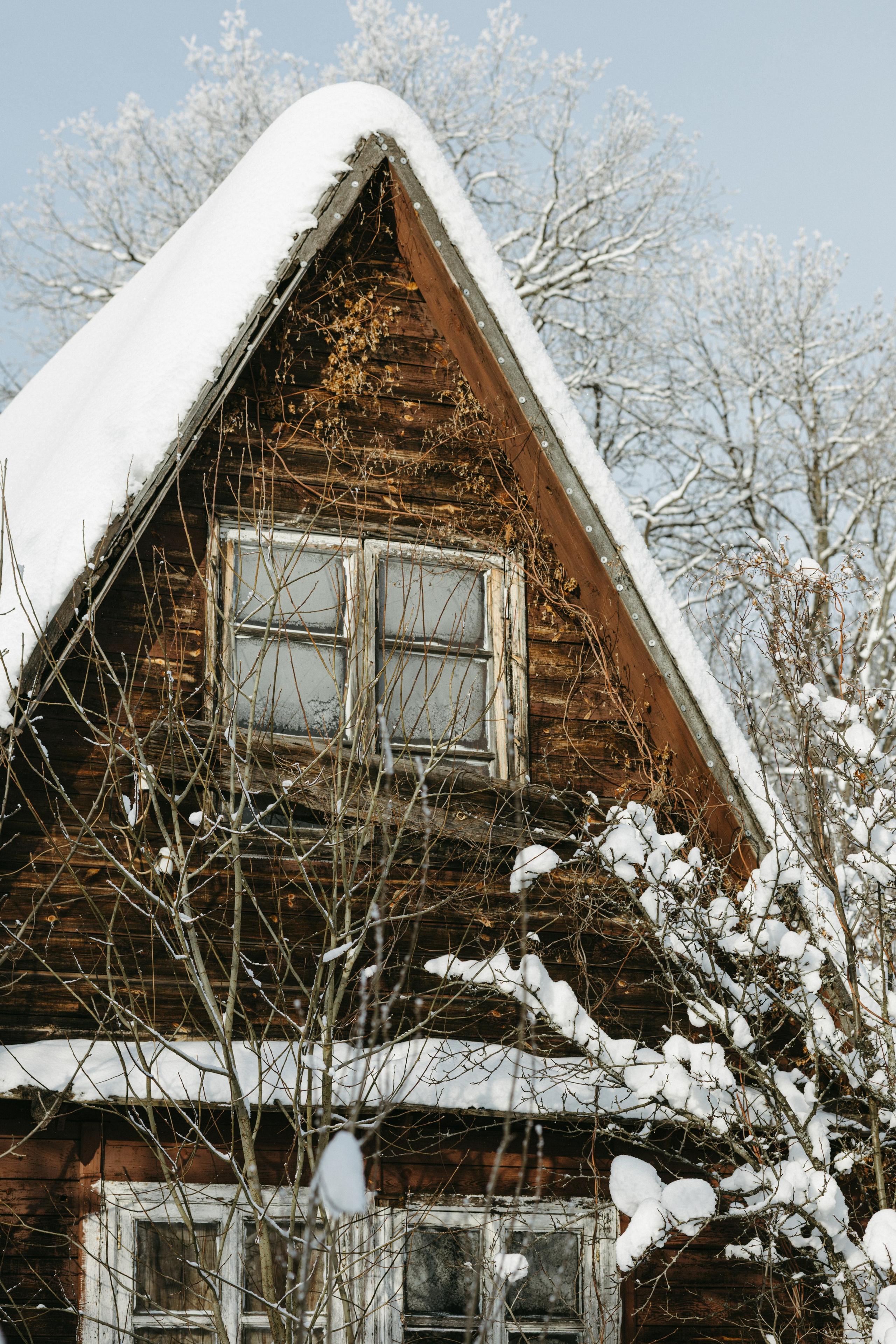 Зимний и летний сад. Фотограф Эльмира Лин