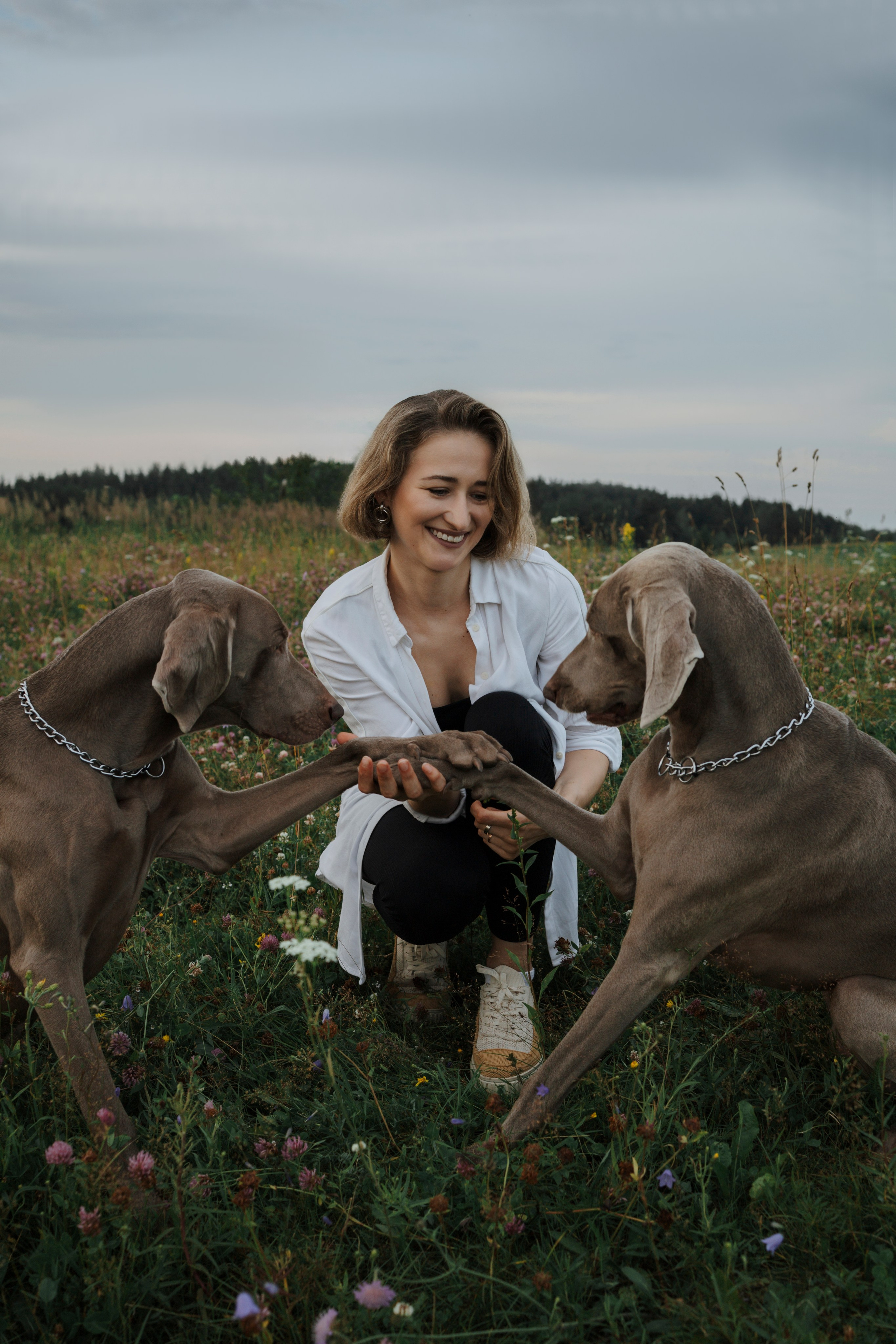 Маргарита и веймаранеры. Фотограф-анималист в Санкт-Петеребурге Титова Алиса