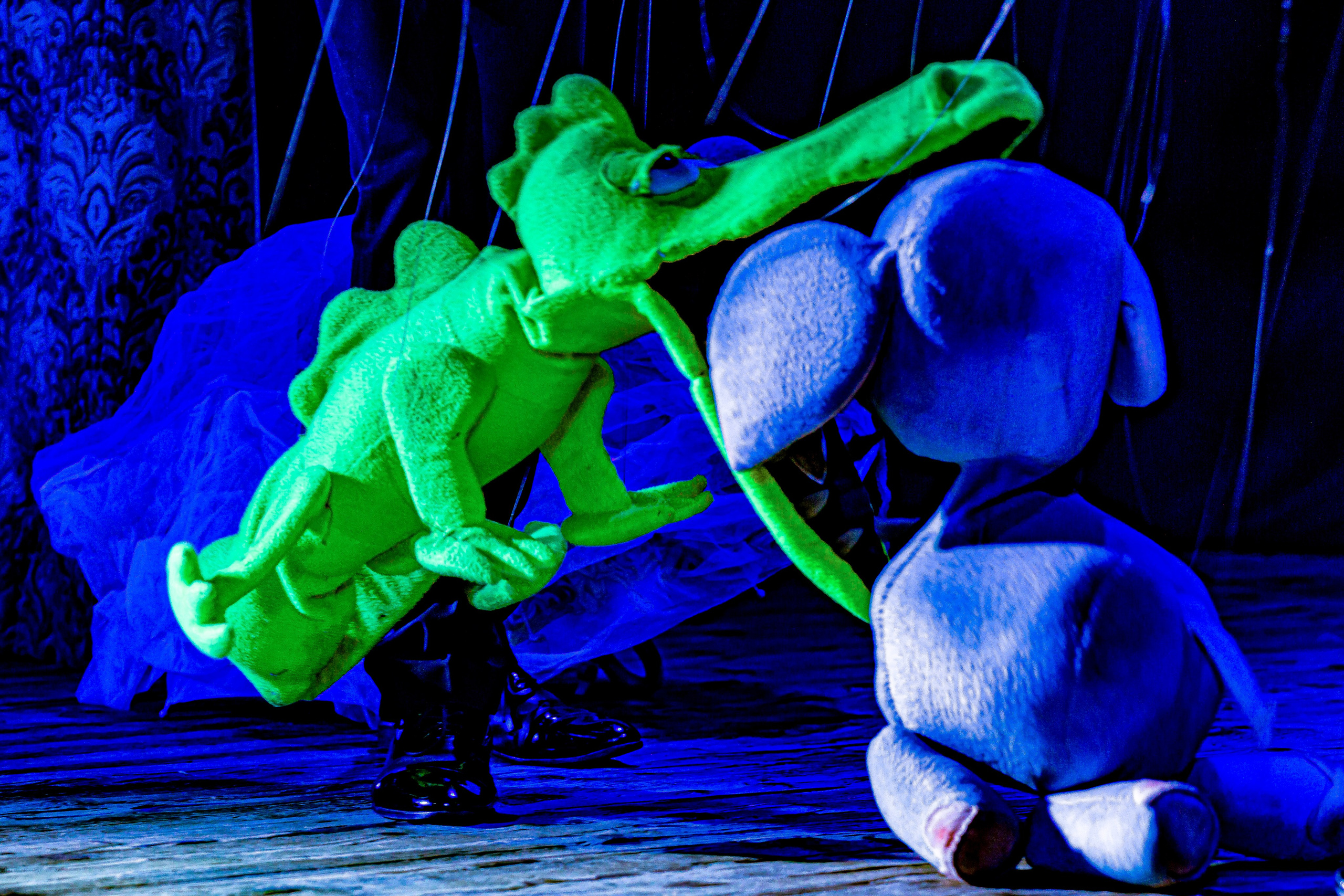 Любопытный слоненок спектакль театра Саквояж. Фотограф в Сочи Юрий Шептаев