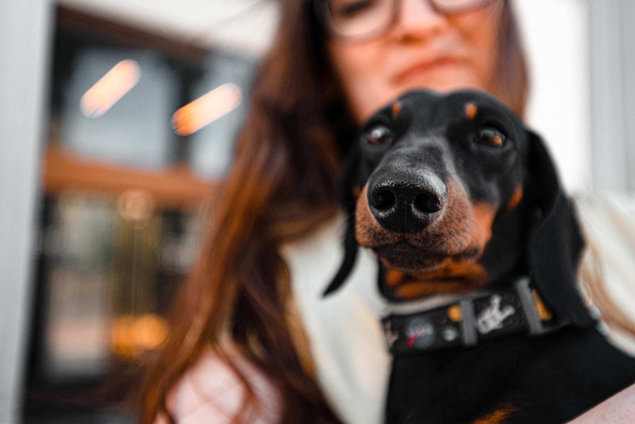 Малыш Гранд и его Таня на чистых прудах. Фотограф — анималист Саратов/Москва|Плужникова Юлия