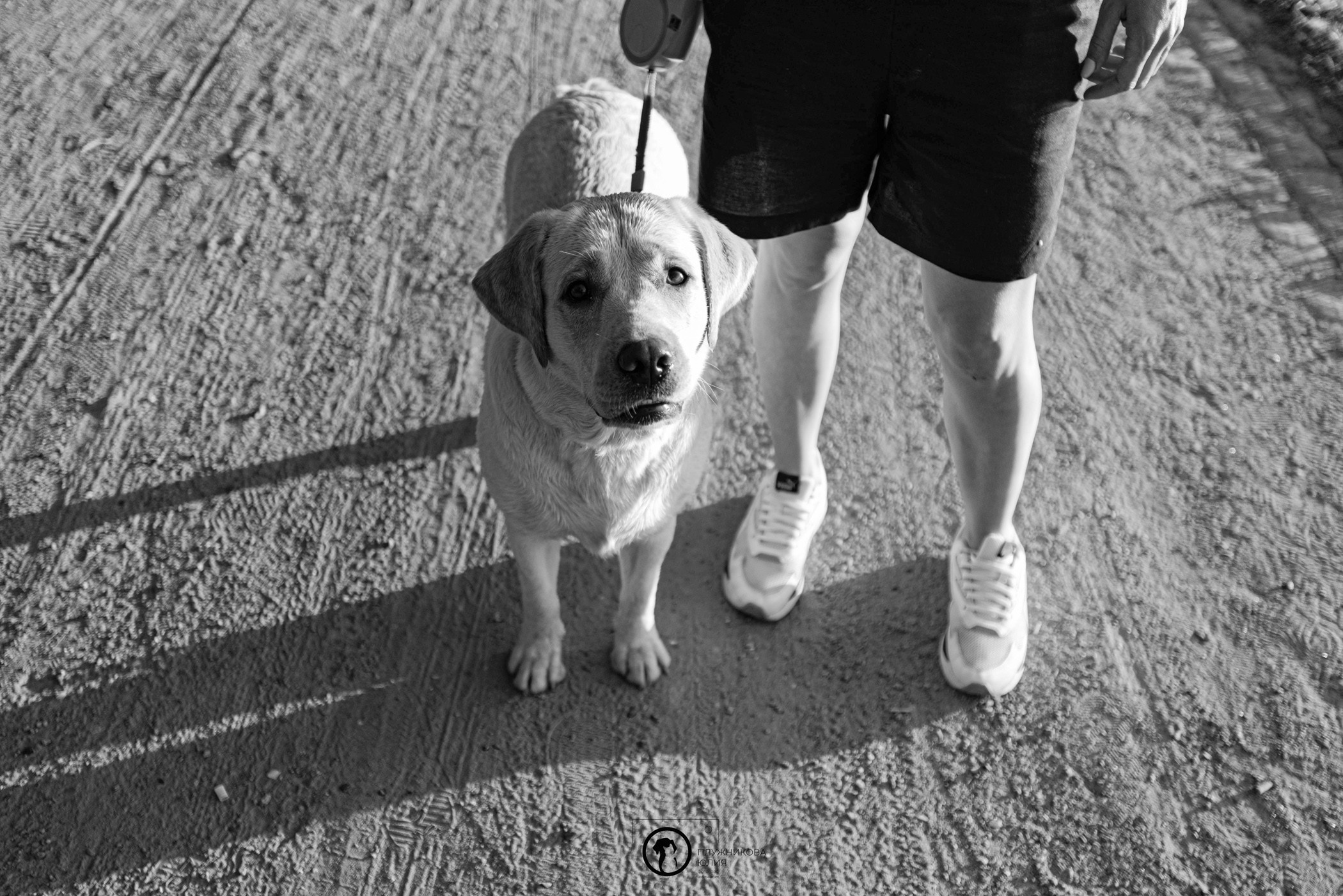 Зефирка и ее чудесная семья на летнем закате. Фотограф — анималист Саратов/Москва|Плужникова Юлия