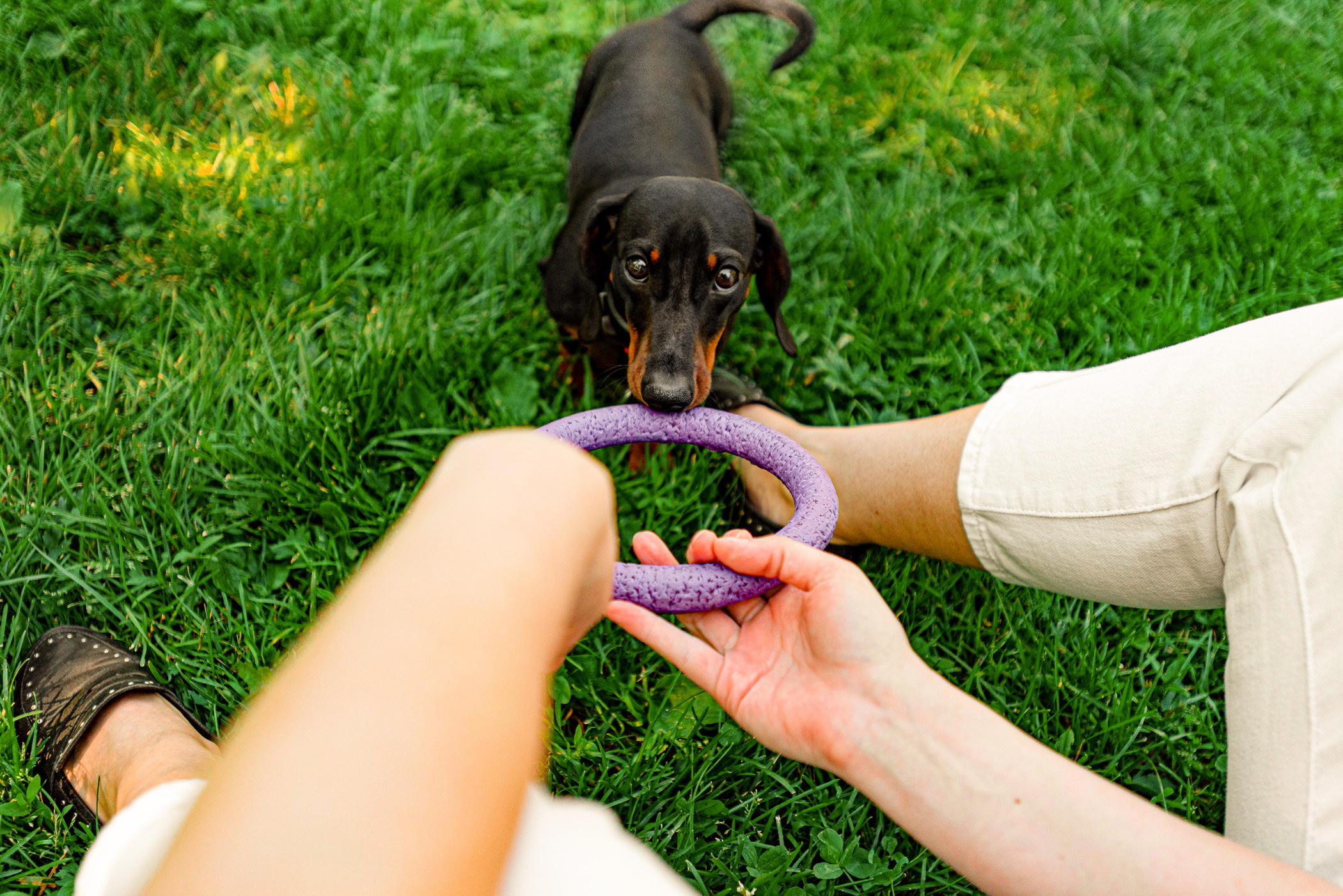 Малыш Гранд и его Таня на чистых прудах. Фотограф — анималист Саратов/Москва|Плужникова Юлия