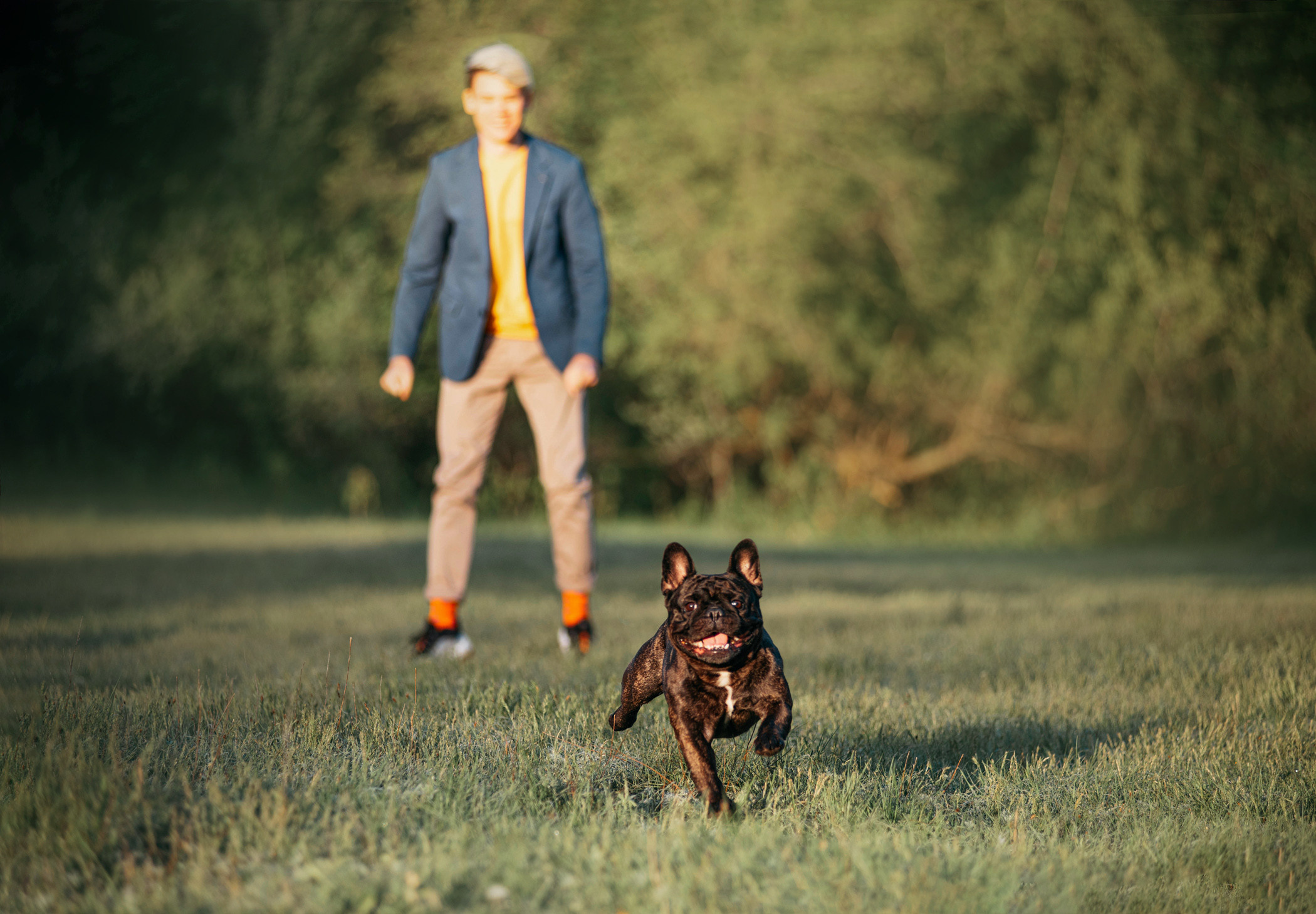 Французский бульдог Джоффри и его семья. Фотограф — анималист Саратов/Москва|Плужникова Юлия