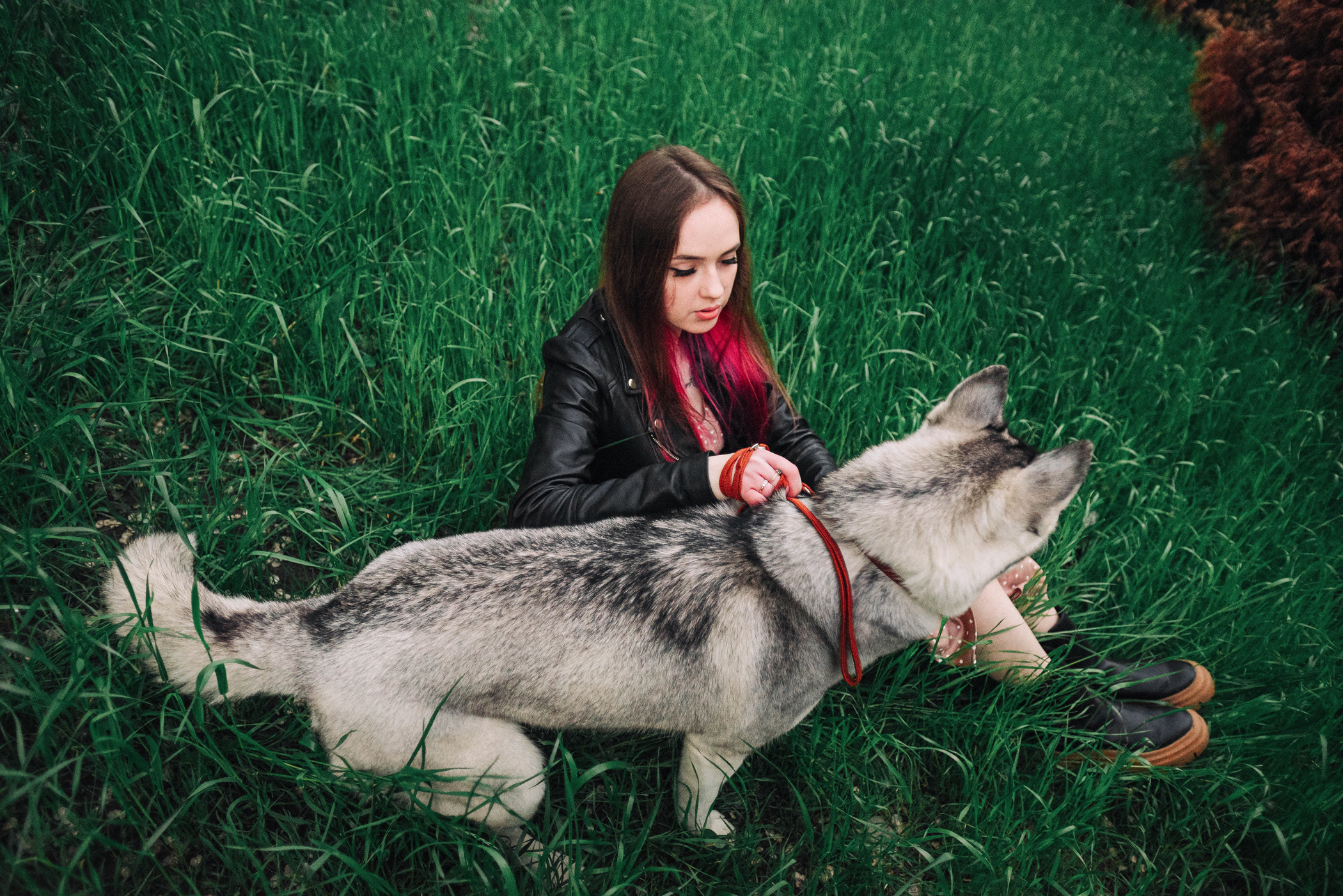 Настя и Грейс. Фотограф — анималист Саратов/Москва|Плужникова Юлия