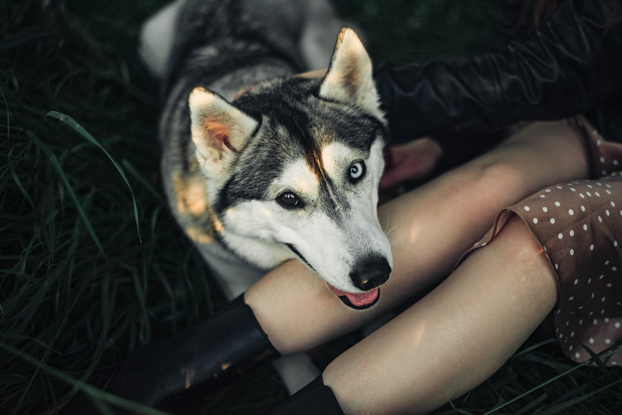 Настя и Грейс. Фотограф — анималист Саратов/Москва|Плужникова Юлия