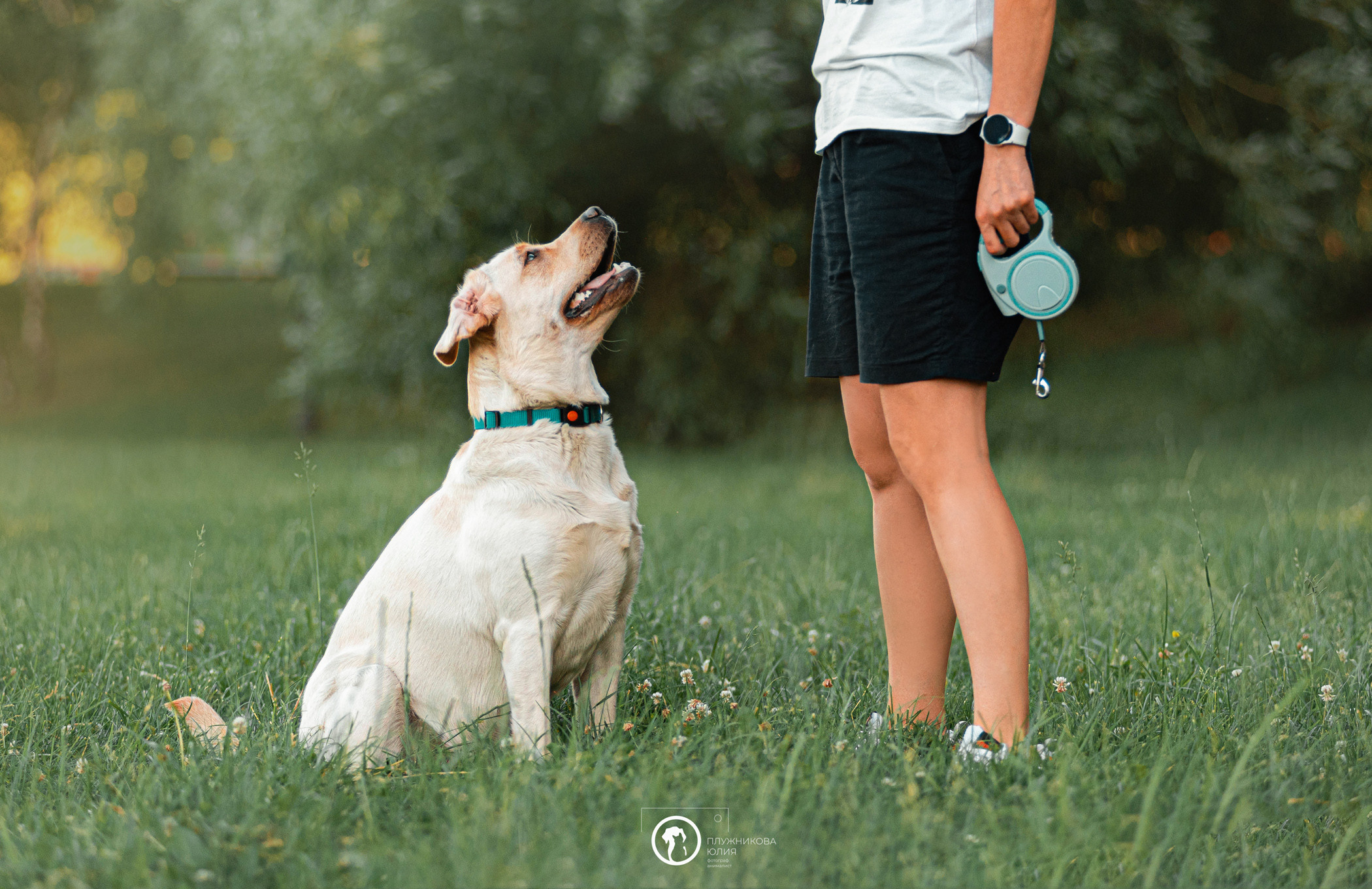 Зефирка и ее чудесная семья на летнем закате. Фотограф — анималист Саратов/Москва|Плужникова Юлия