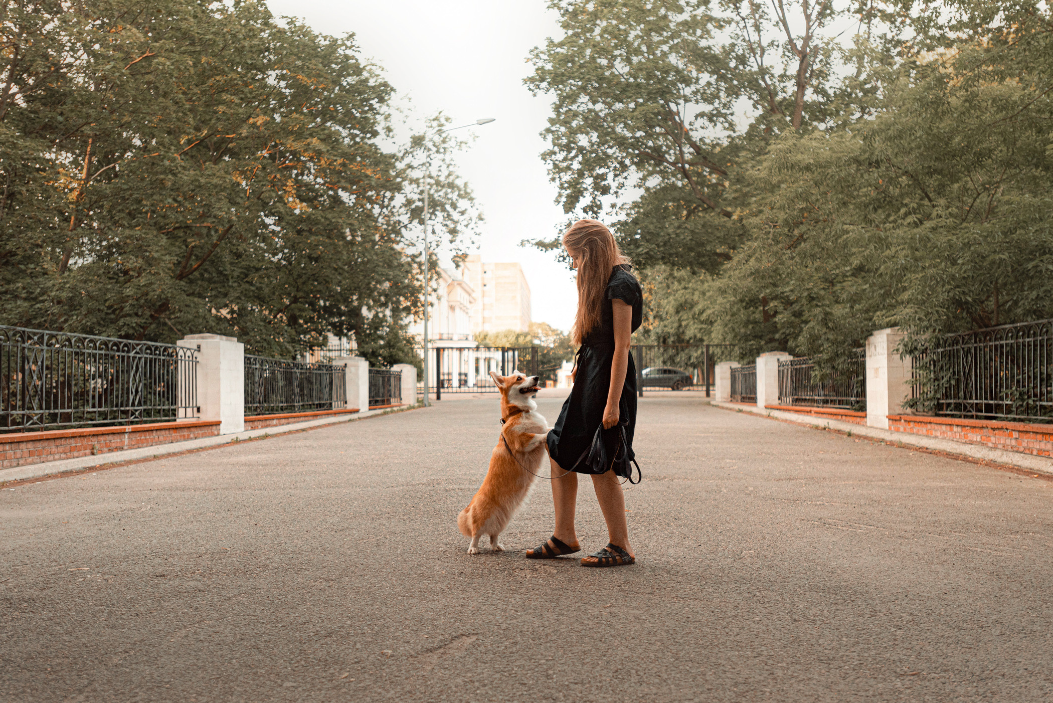 Ежа и Даша в Нескучном саду. Фотограф — анималист Саратов/Москва|Плужникова Юлия