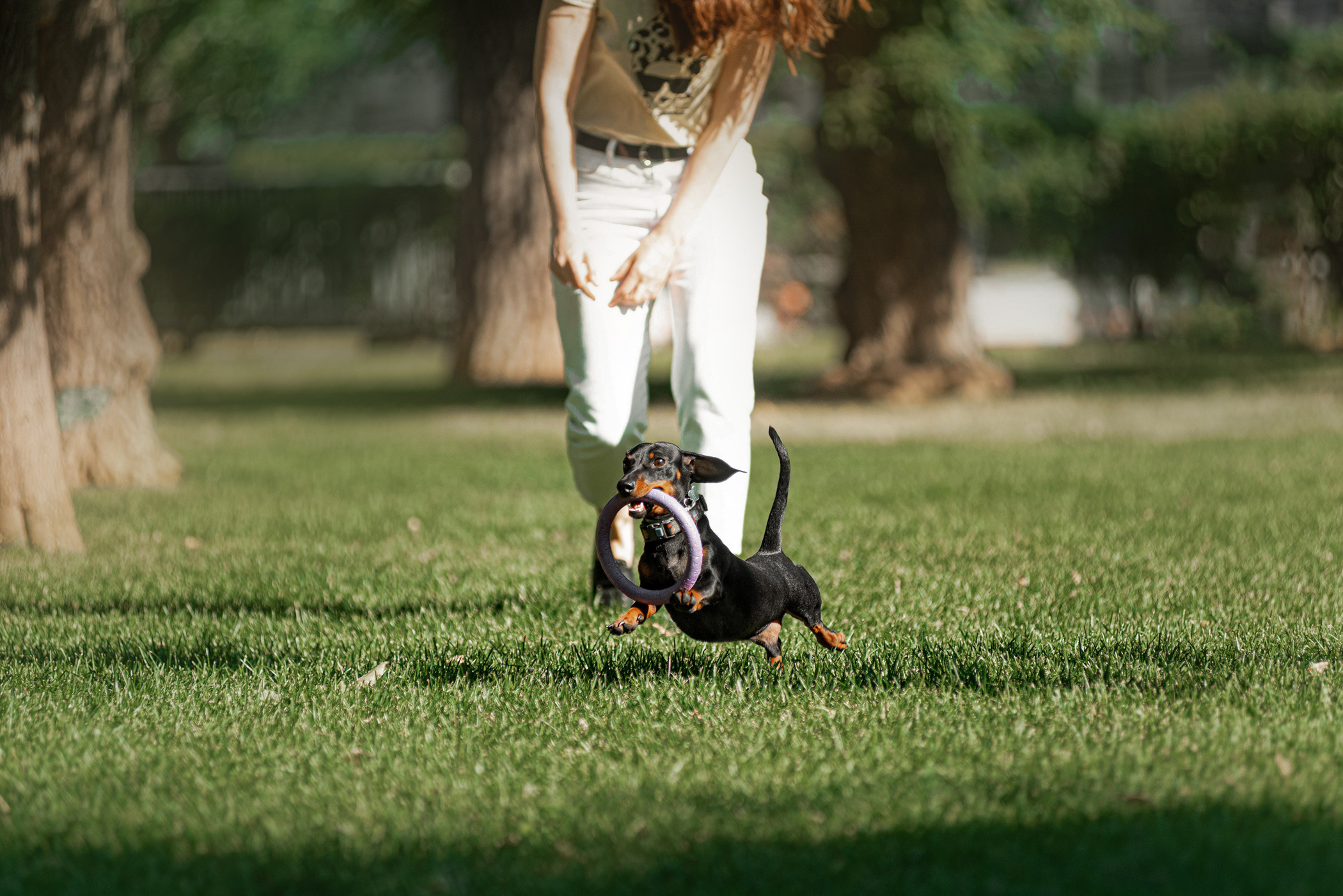 Малыш Гранд и его Таня на чистых прудах. Фотограф — анималист Саратов/Москва|Плужникова Юлия