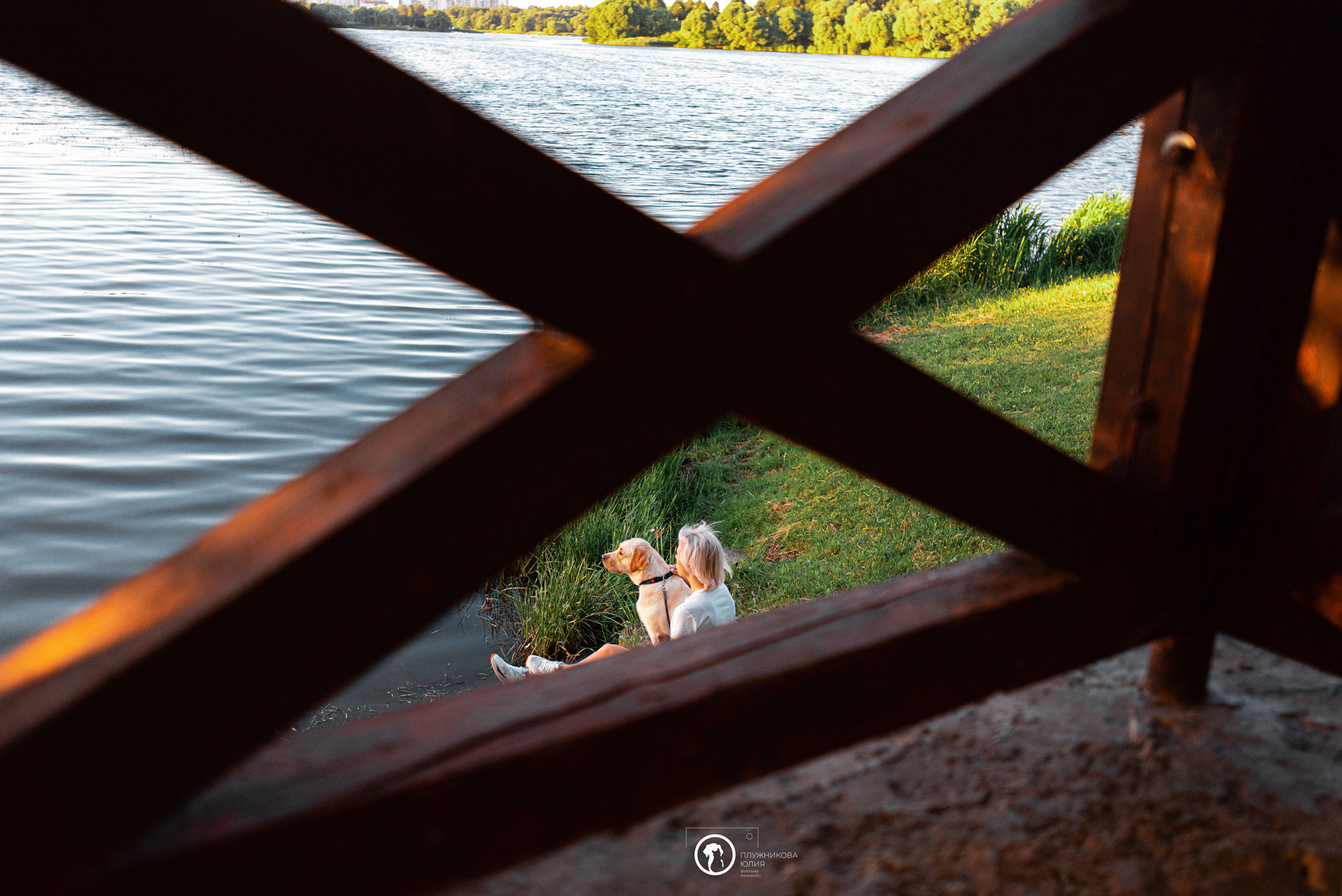 Зефирка и ее чудесная семья на летнем закате. Фотограф — анималист Саратов/Москва|Плужникова Юлия