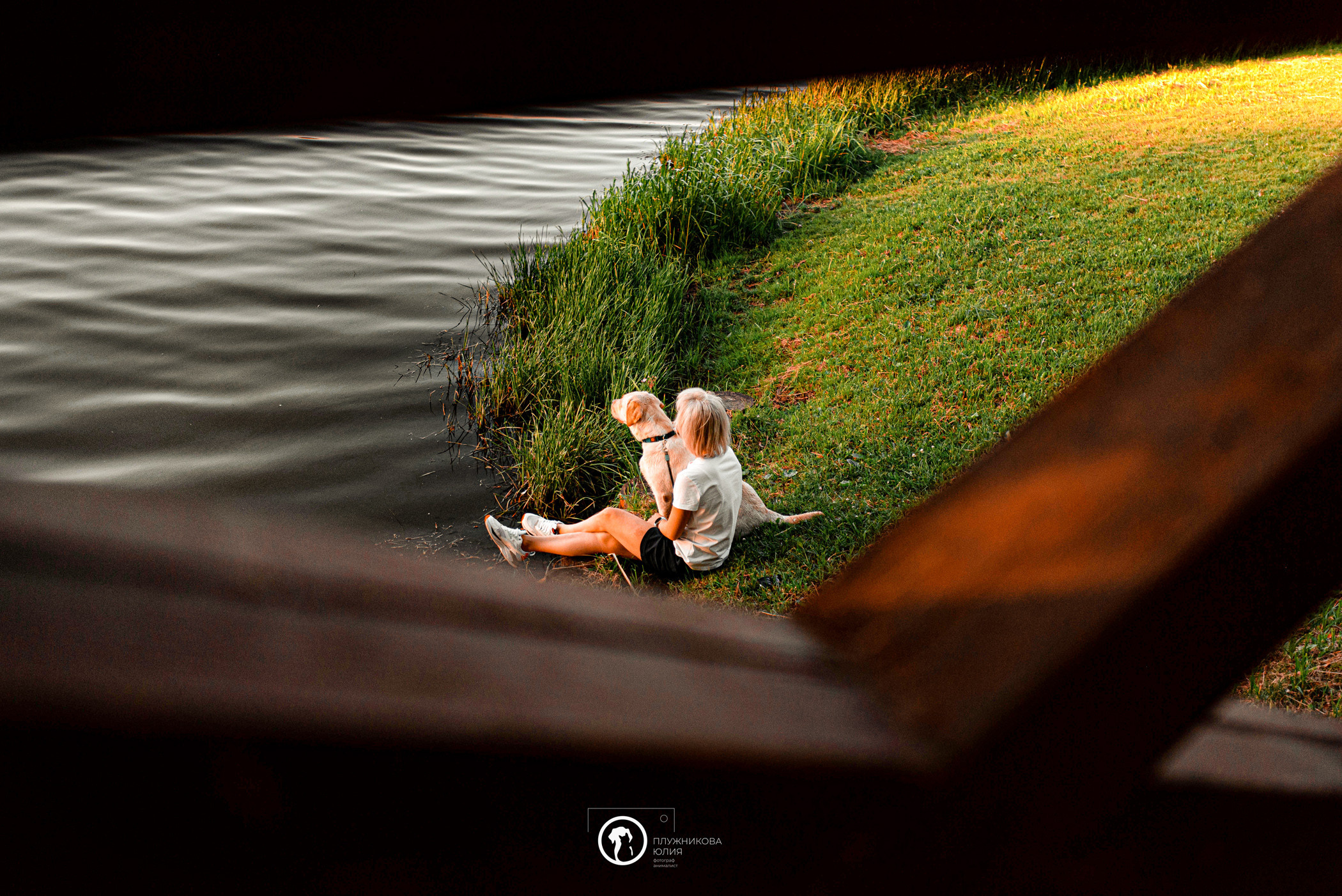 Зефирка и ее чудесная семья на летнем закате. Фотограф — анималист Саратов/Москва|Плужникова Юлия