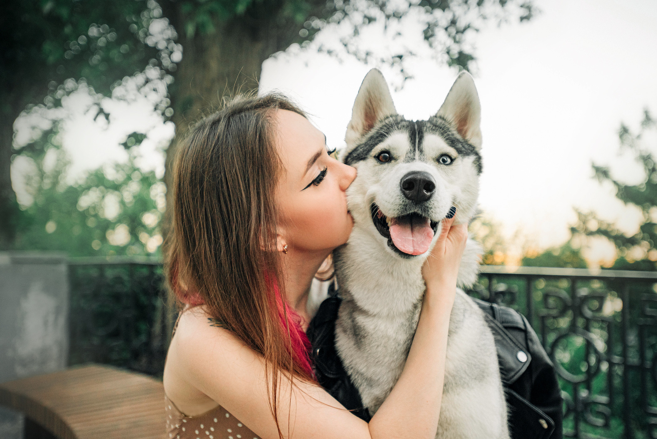 Настя и Грейс. Фотограф — анималист Саратов/Москва|Плужникова Юлия