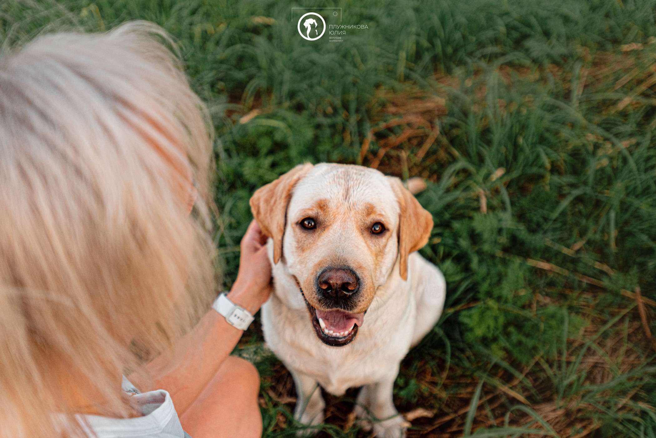 Зефирка и ее чудесная семья на летнем закате. Фотограф — анималист Саратов/Москва|Плужникова Юлия