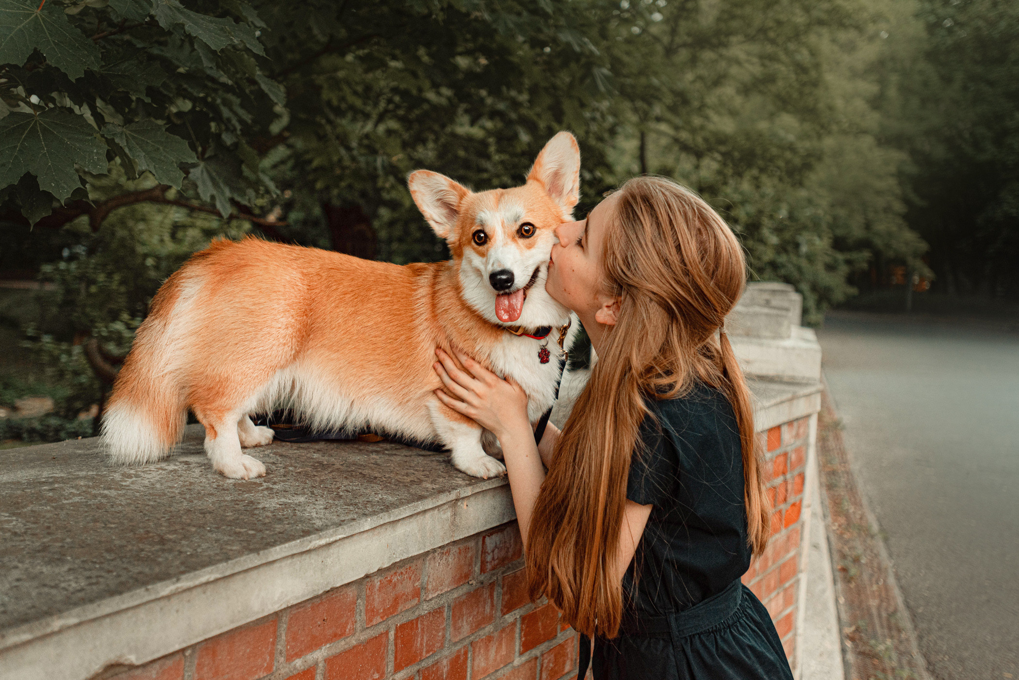 Ежа и Даша в Нескучном саду. Фотограф — анималист Саратов/Москва|Плужникова Юлия