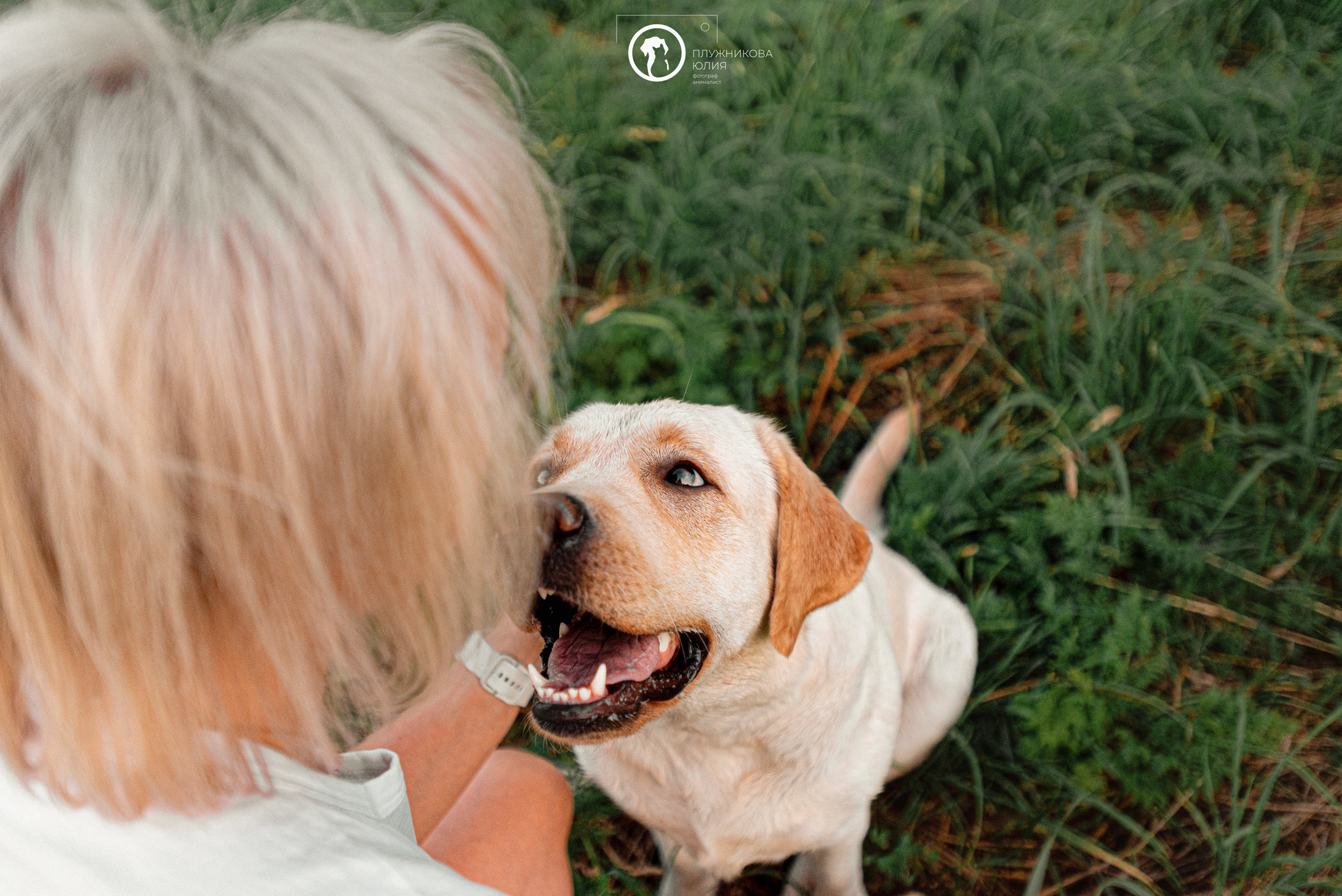 Зефирка и ее чудесная семья на летнем закате. Фотограф — анималист Саратов/Москва|Плужникова Юлия