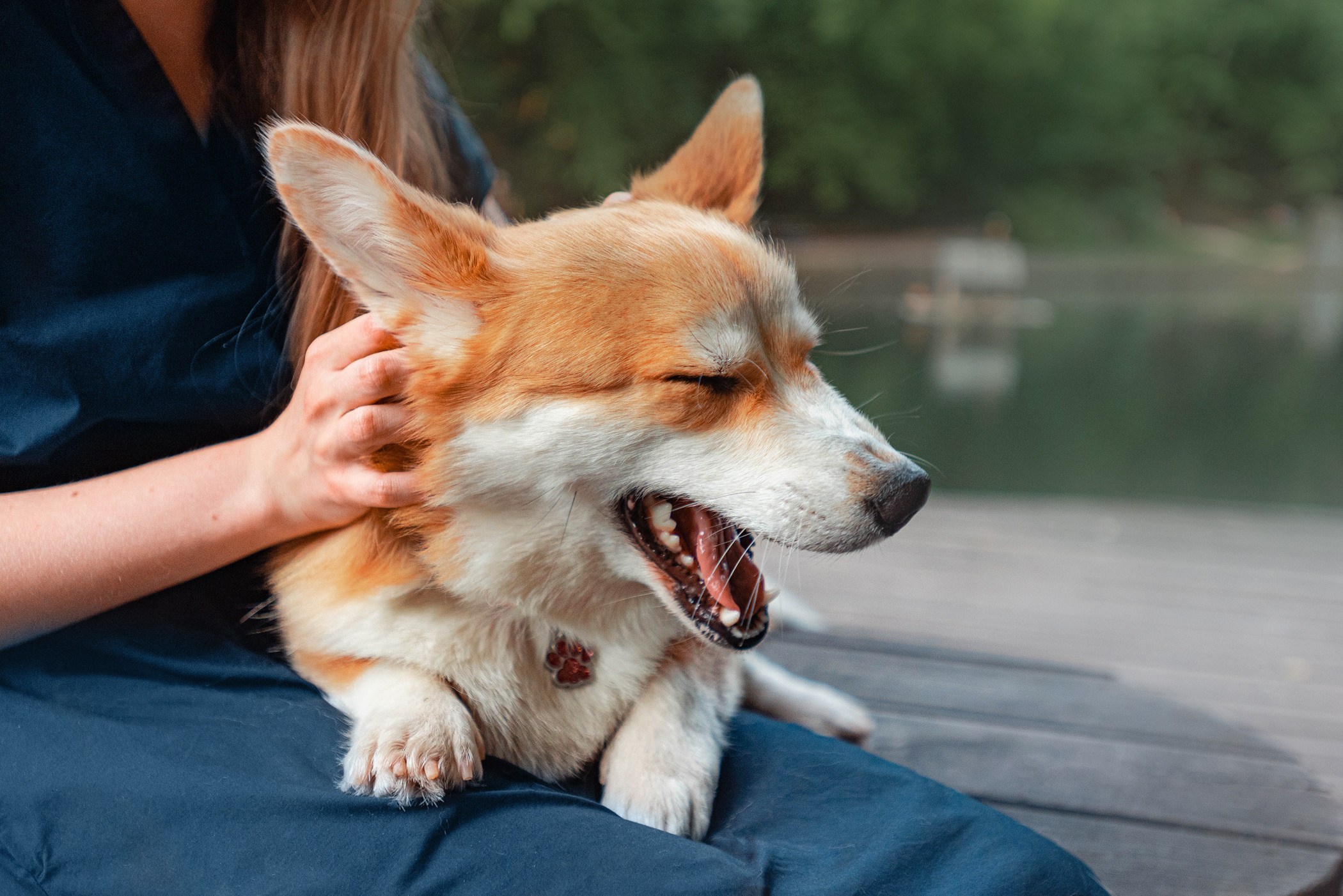 Ежа и Даша в Нескучном саду. Фотограф — анималист Саратов/Москва|Плужникова Юлия